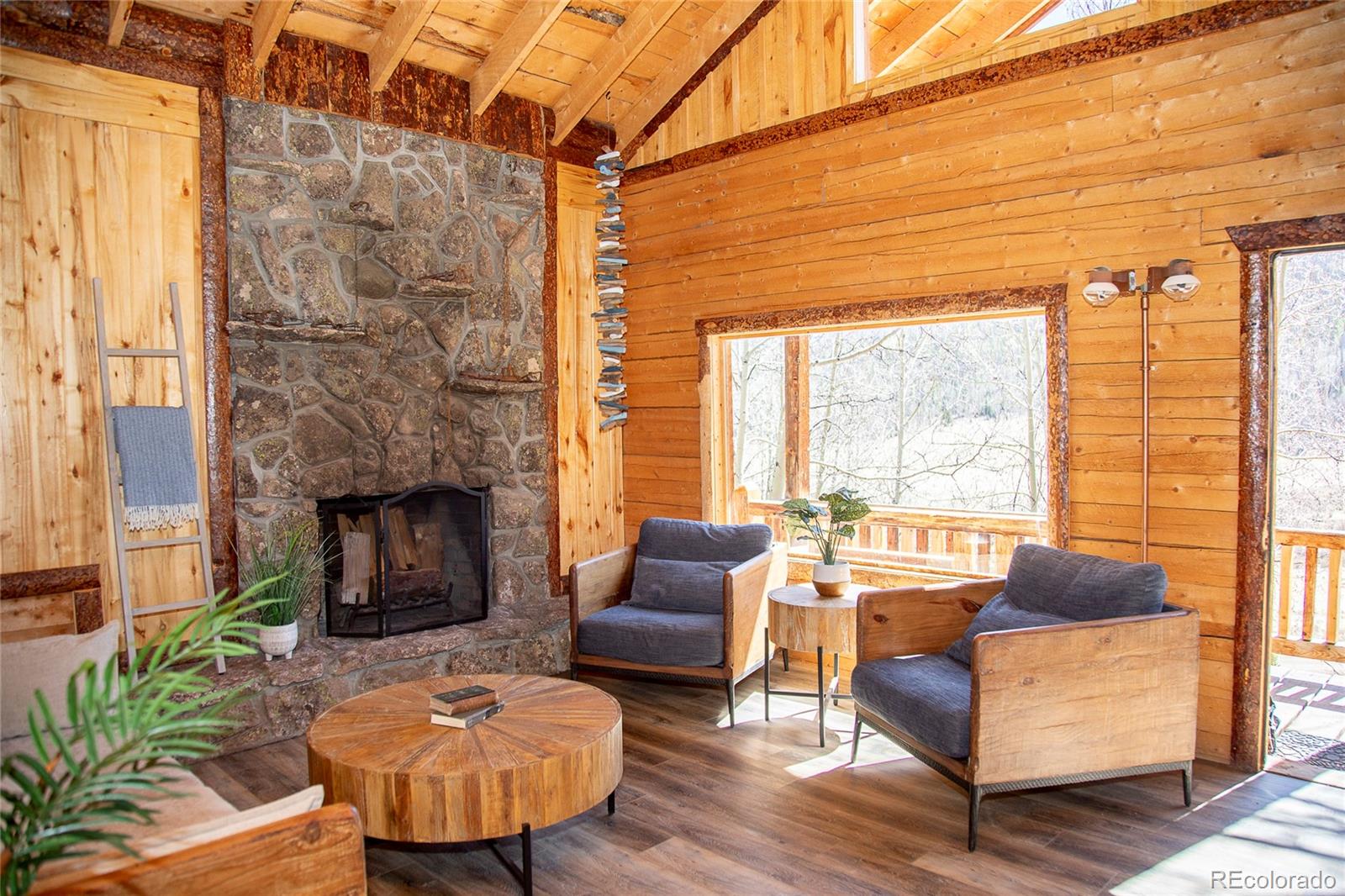 MLS Image #11 for 1001  county rd 17 ,lake city, Colorado