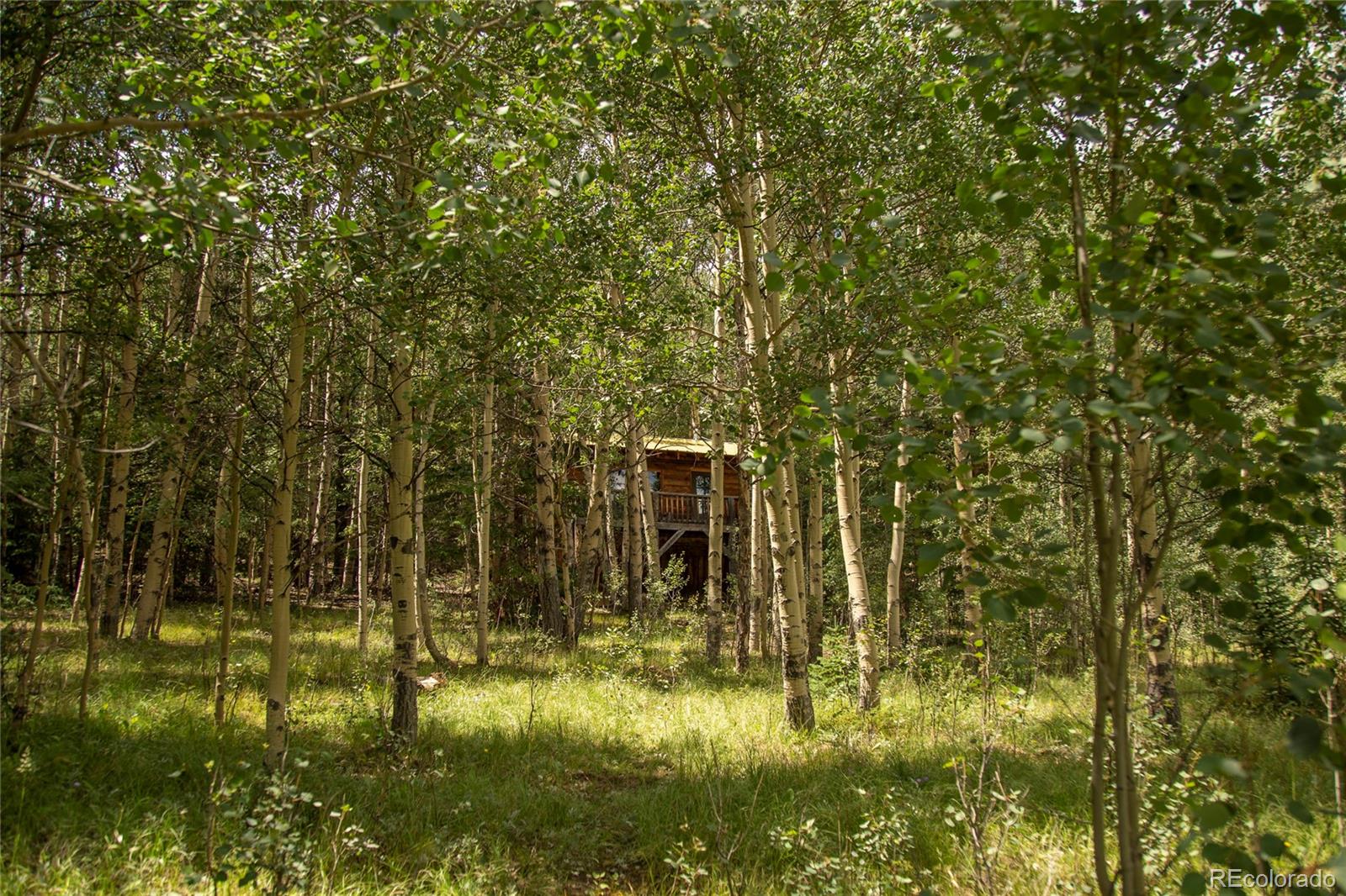 MLS Image #17 for 1001  county rd 17 ,lake city, Colorado