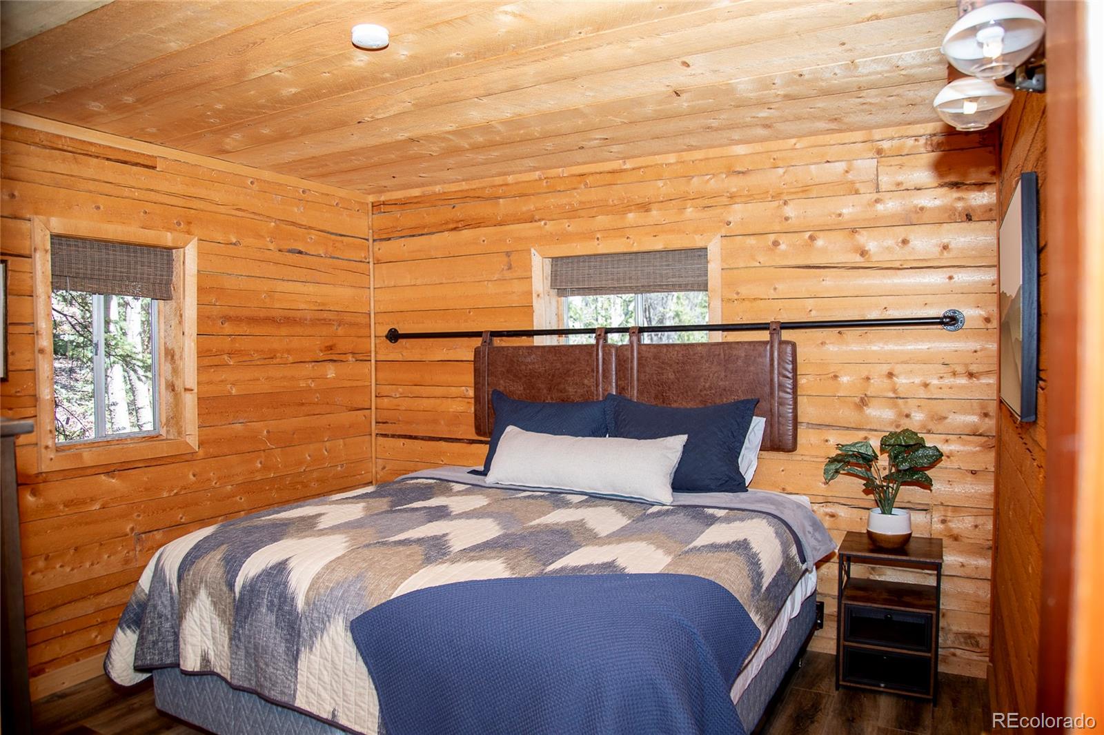 MLS Image #18 for 1001  county rd 17 ,lake city, Colorado