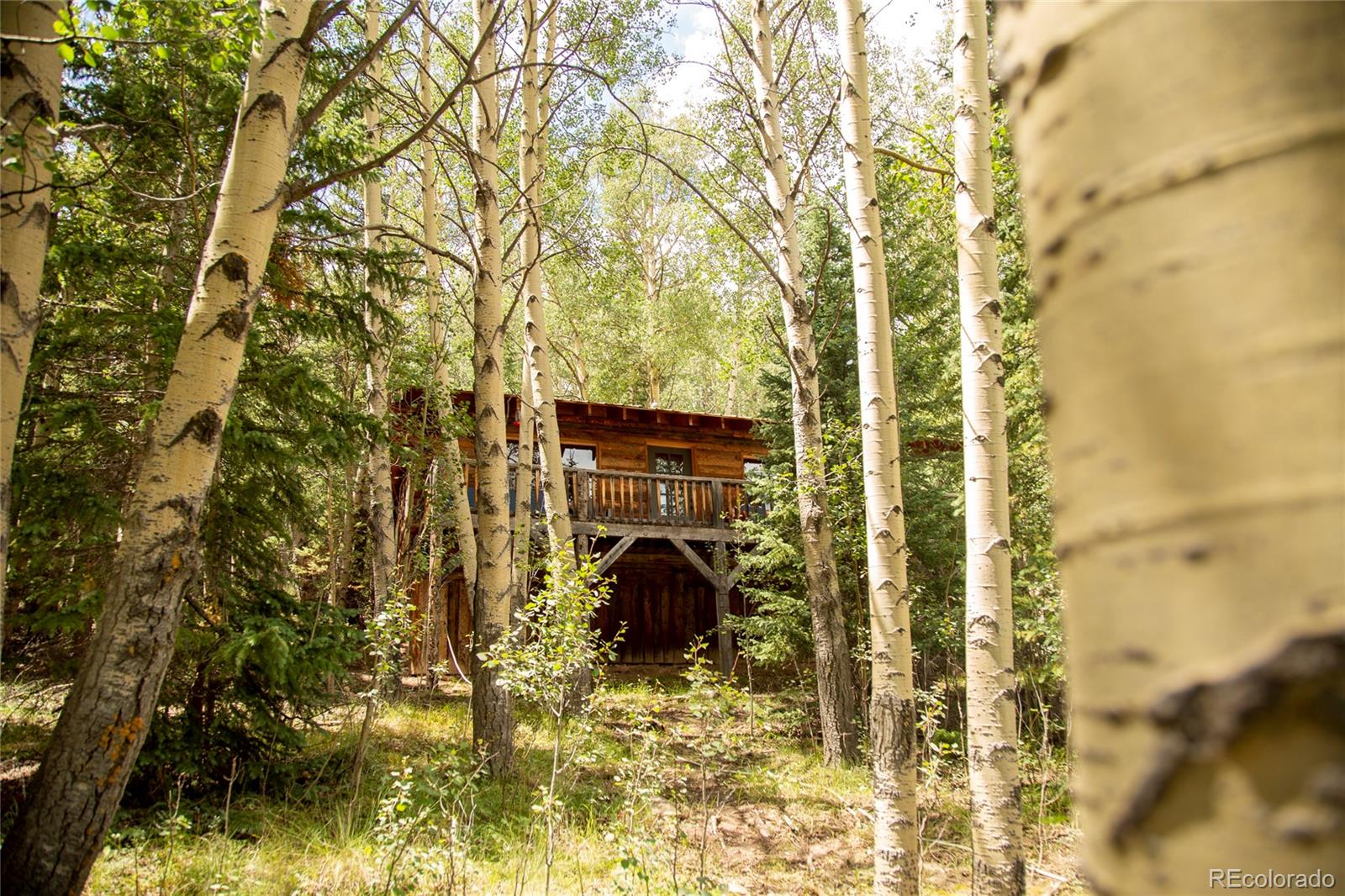 MLS Image #20 for 1001  county rd 17 ,lake city, Colorado
