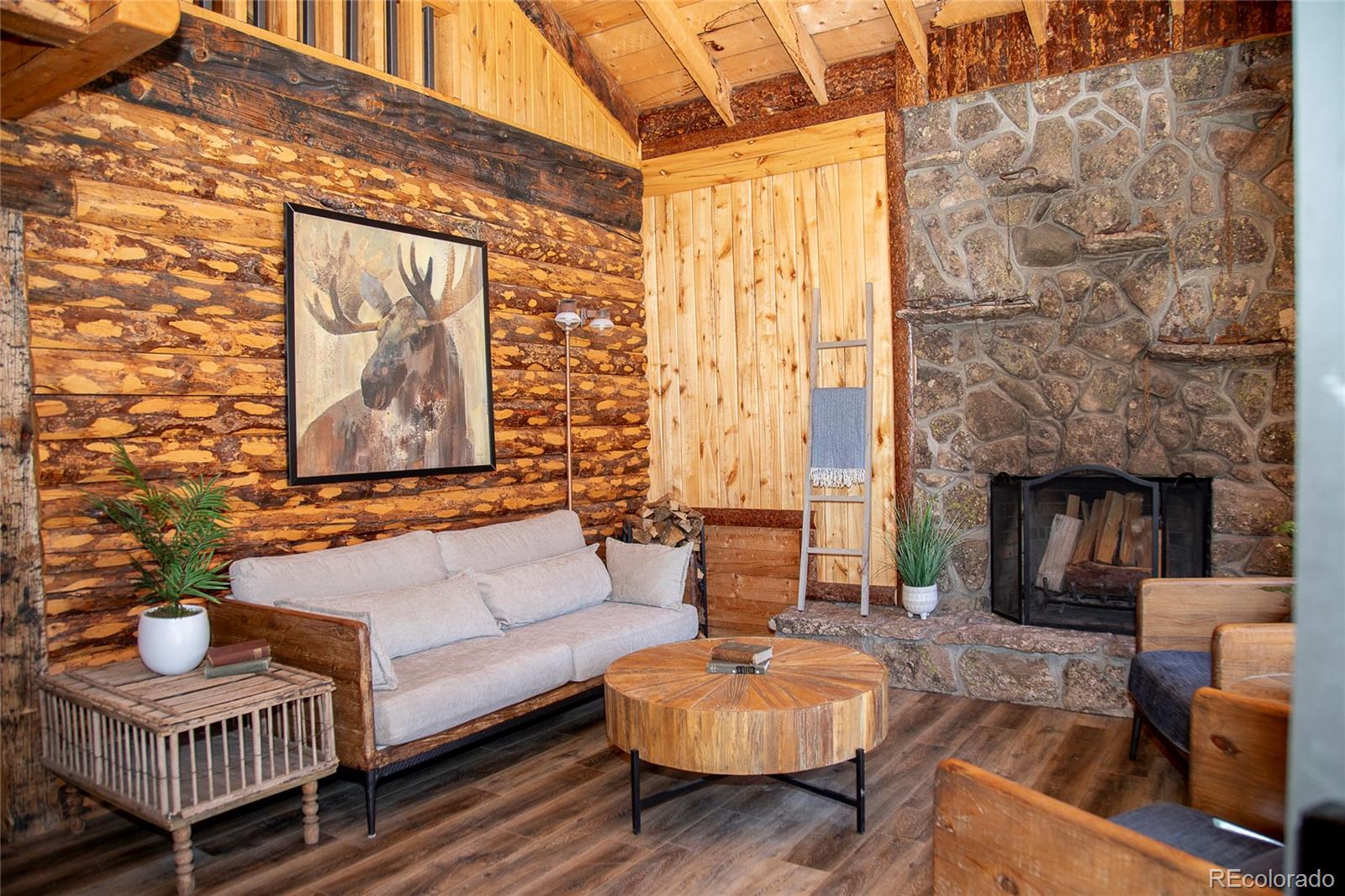 MLS Image #3 for 1001  county rd 17 ,lake city, Colorado
