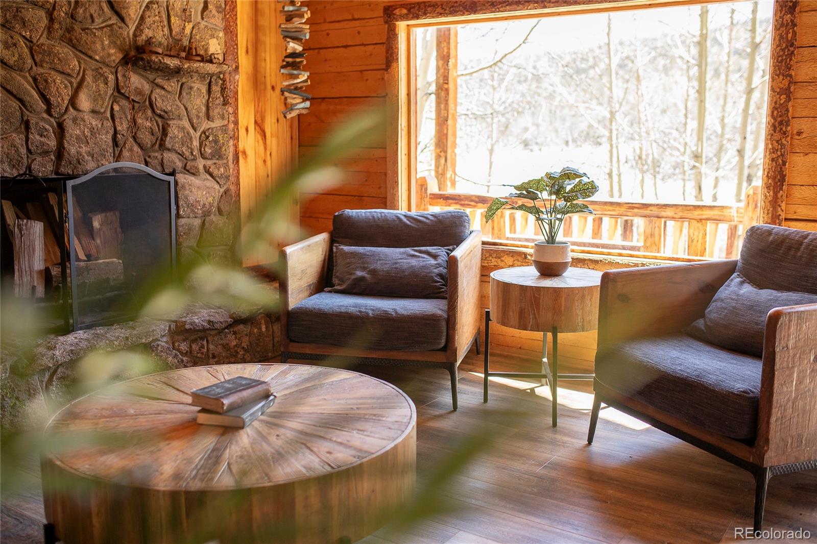 MLS Image #30 for 1001  county rd 17 ,lake city, Colorado