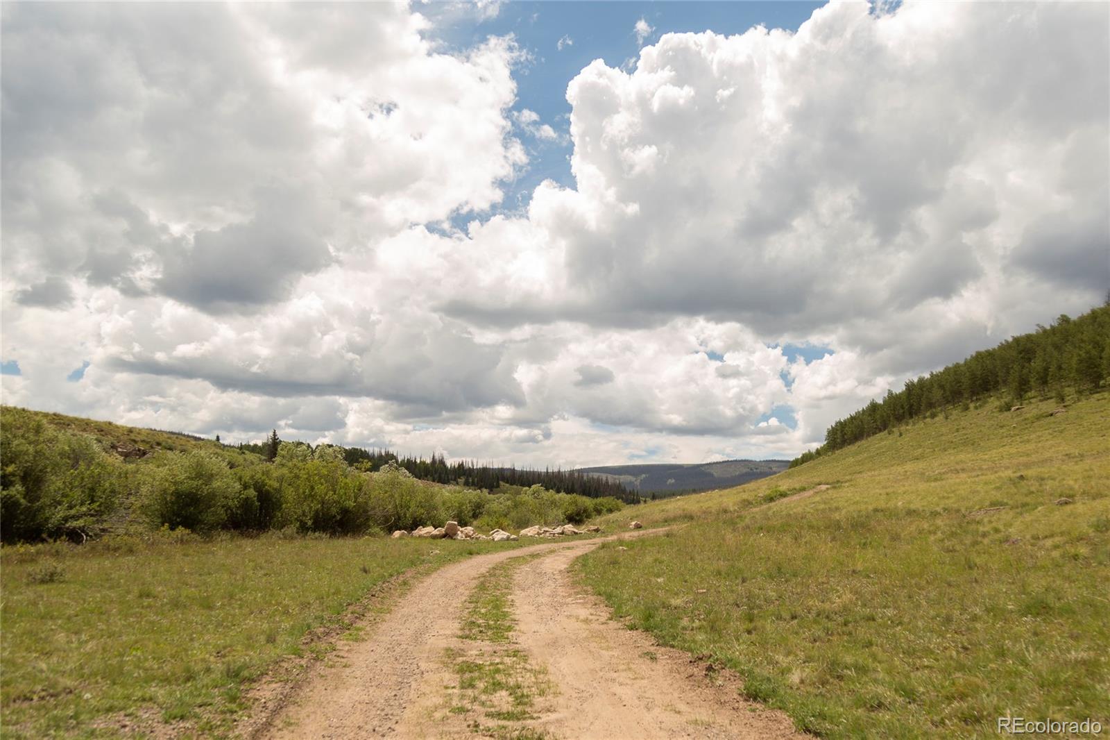 MLS Image #9 for 1001  county rd 17 ,lake city, Colorado