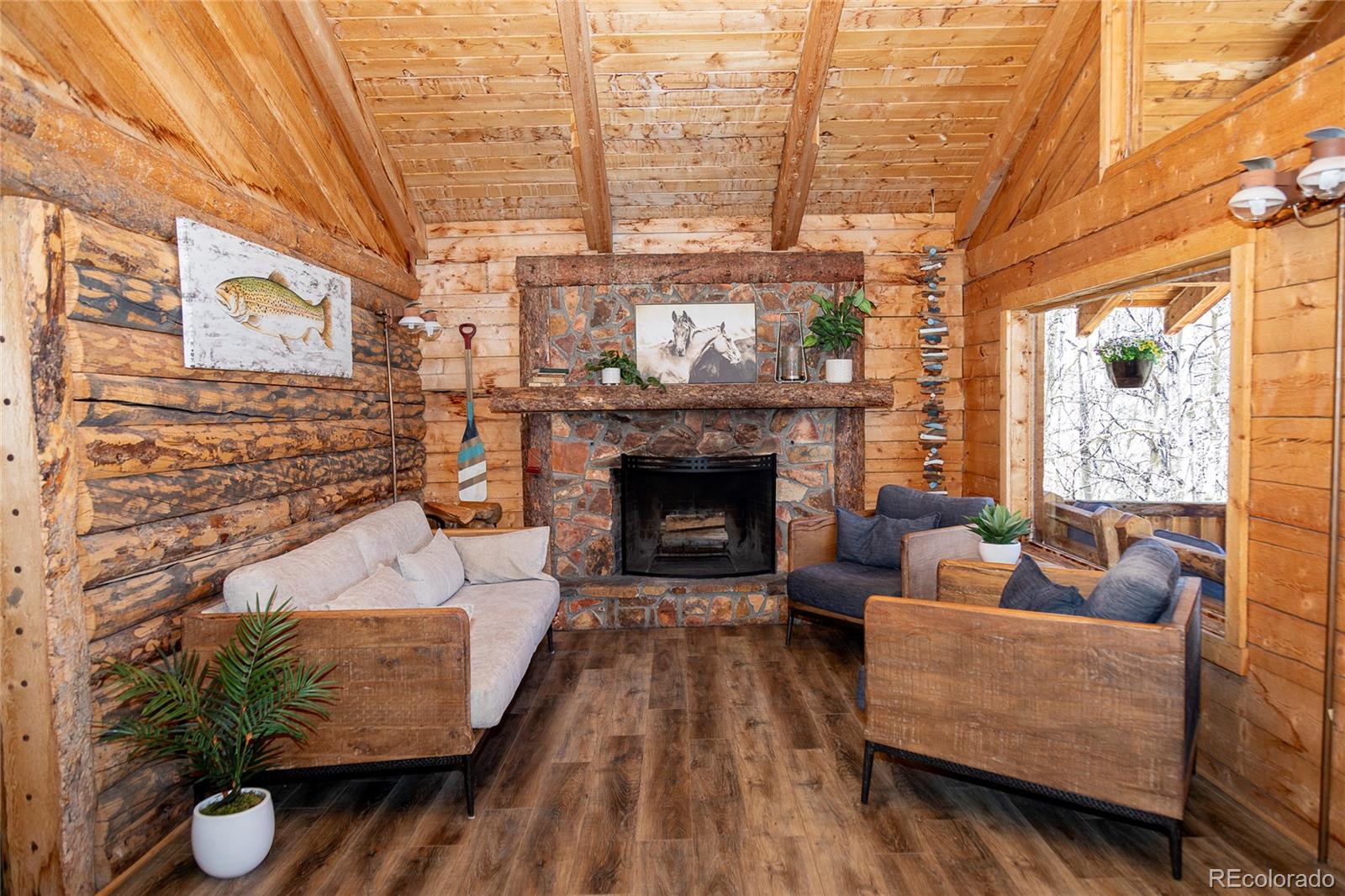MLS Image #12 for 1001  county rd 17 ,lake city, Colorado