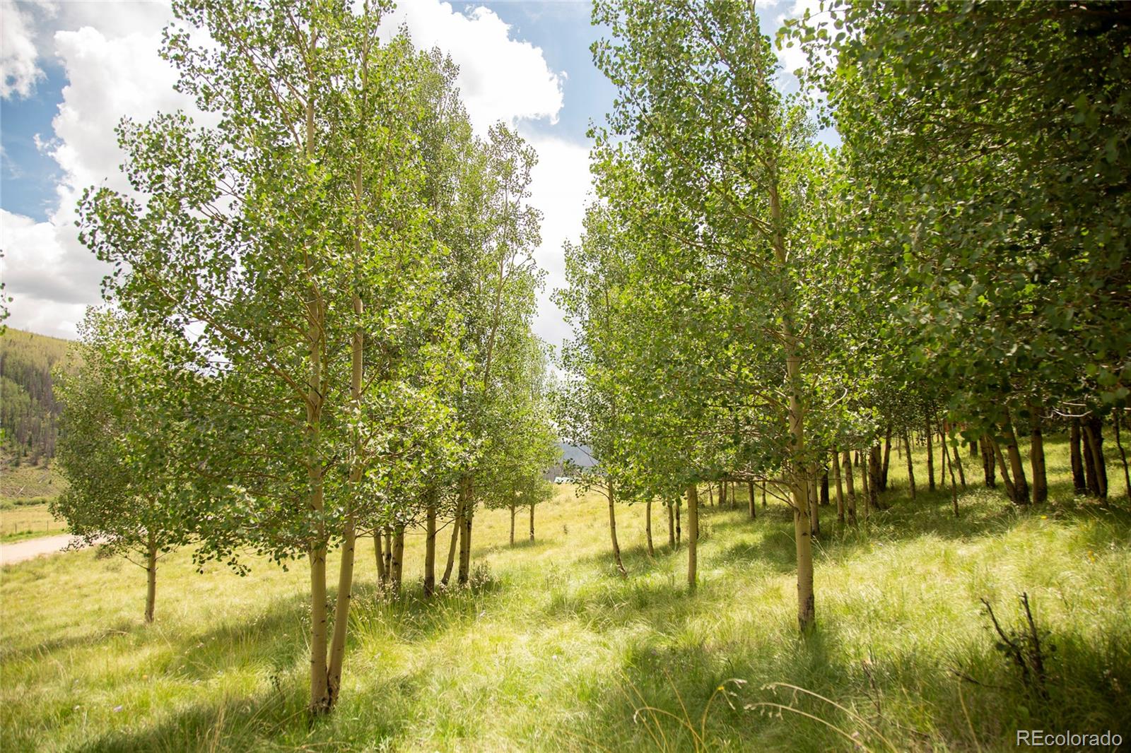 MLS Image #18 for 1001  county rd 17 ,lake city, Colorado