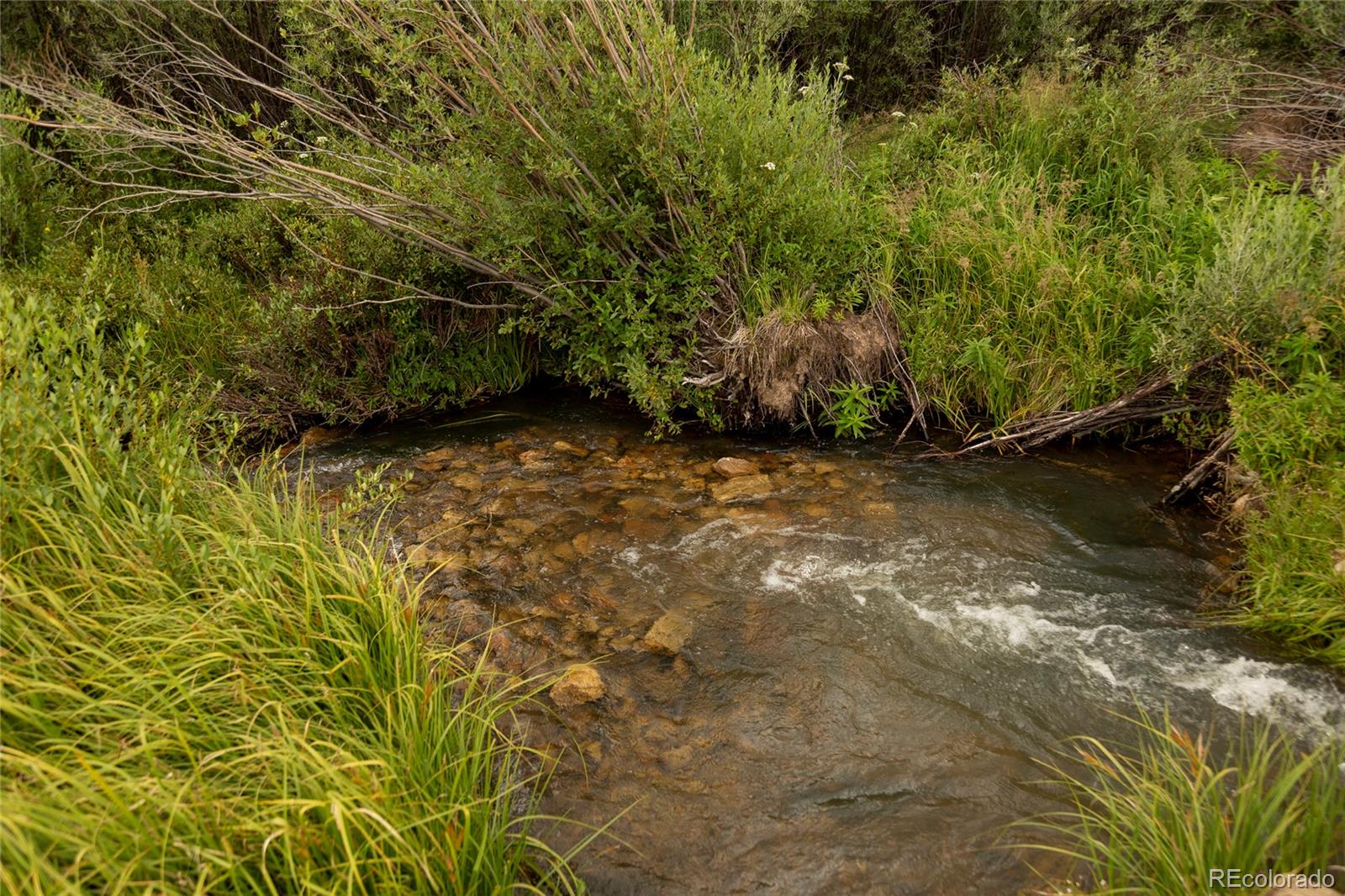 MLS Image #21 for 1001  county rd 17 ,lake city, Colorado