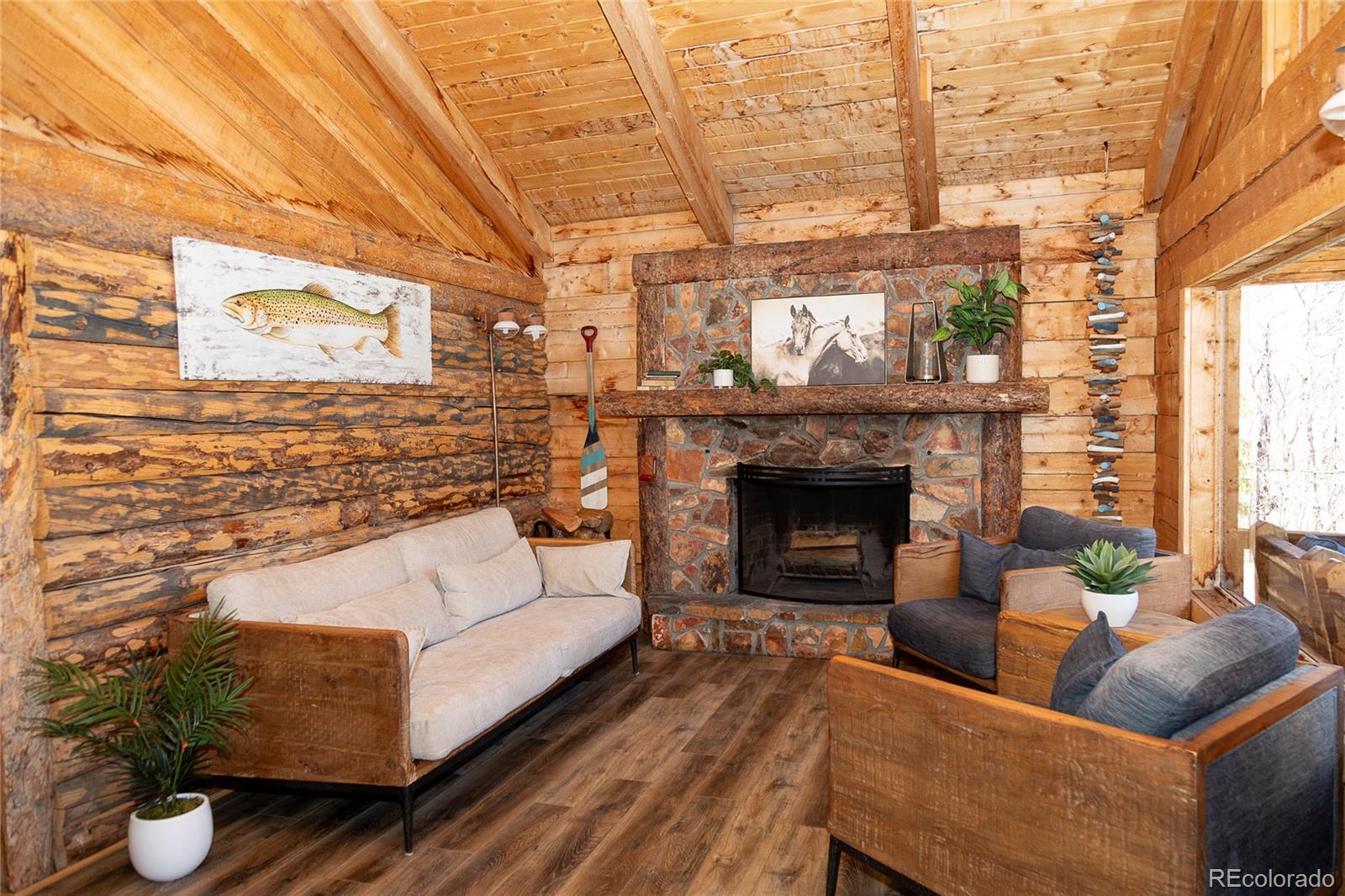 MLS Image #3 for 1001  county rd 17 ,lake city, Colorado