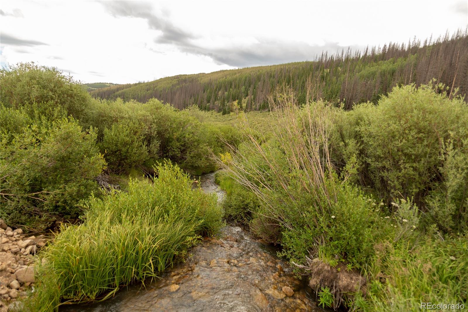 MLS Image #6 for 1001  county rd 17 ,lake city, Colorado