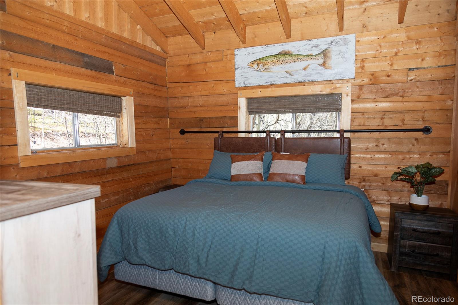 MLS Image #11 for 1001  county rd 17 ,lake city, Colorado