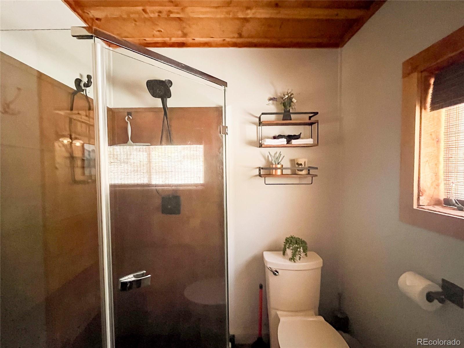 MLS Image #14 for 1001  county rd 17 ,lake city, Colorado