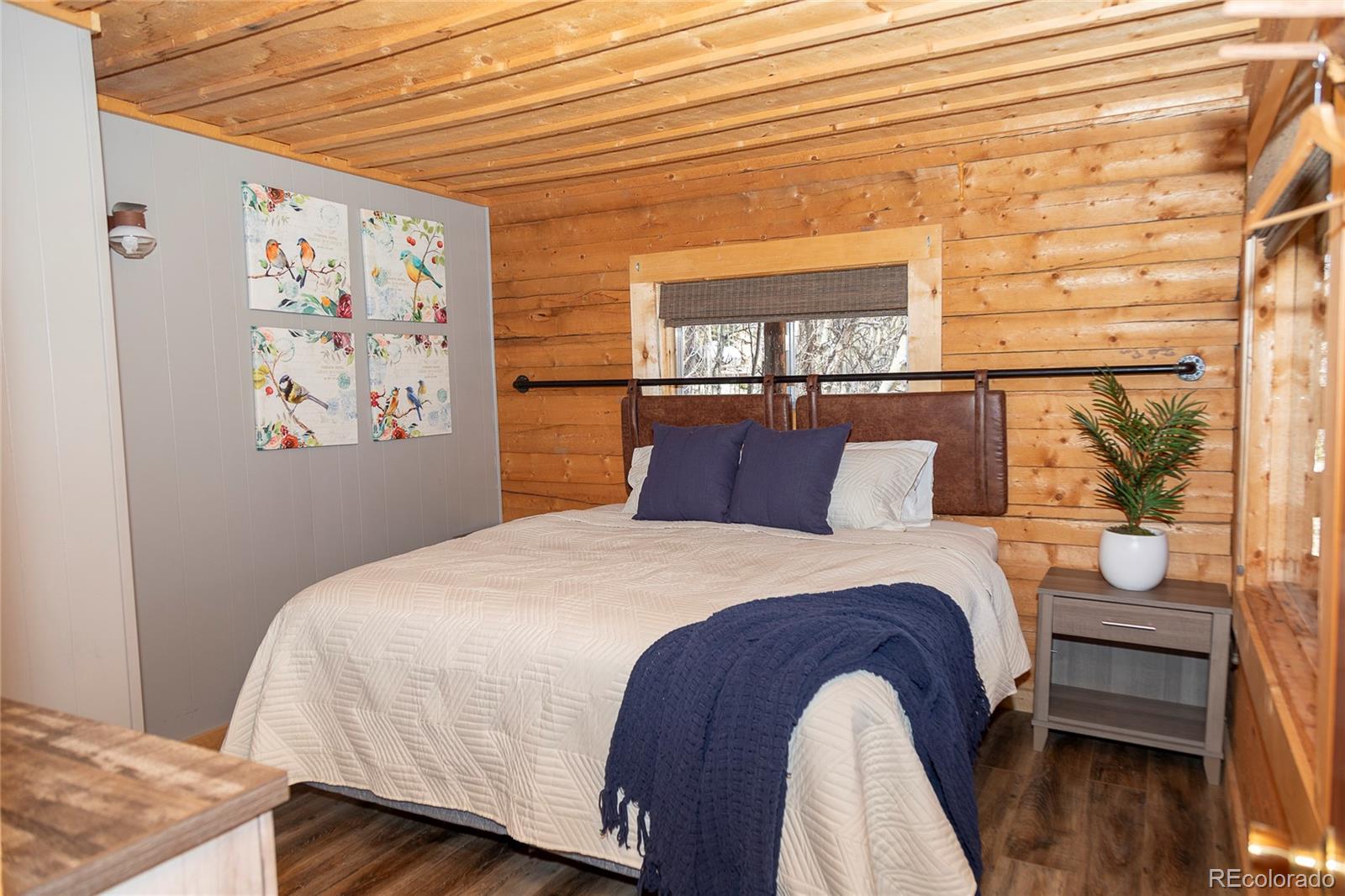 MLS Image #19 for 1001  county rd 17 ,lake city, Colorado