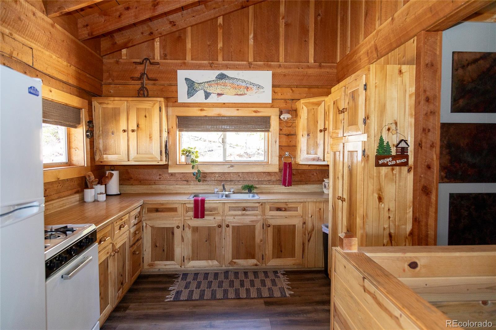MLS Image #3 for 1001  county rd 17 ,lake city, Colorado