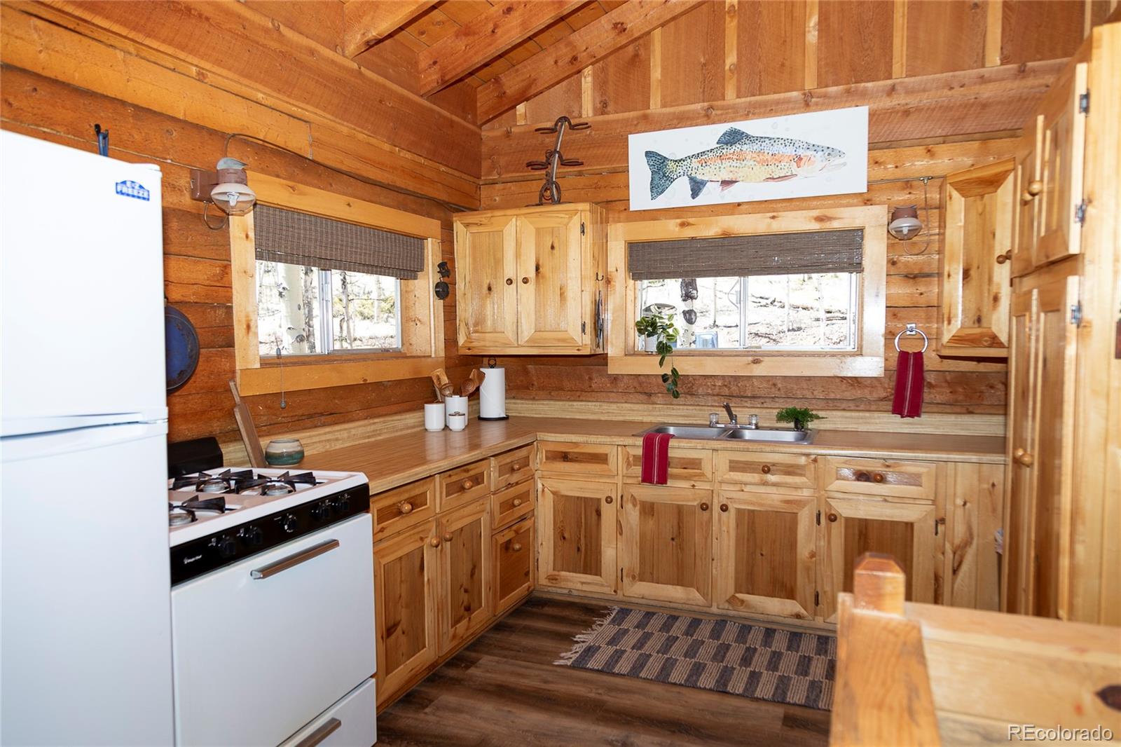 MLS Image #8 for 1001  county rd 17 ,lake city, Colorado