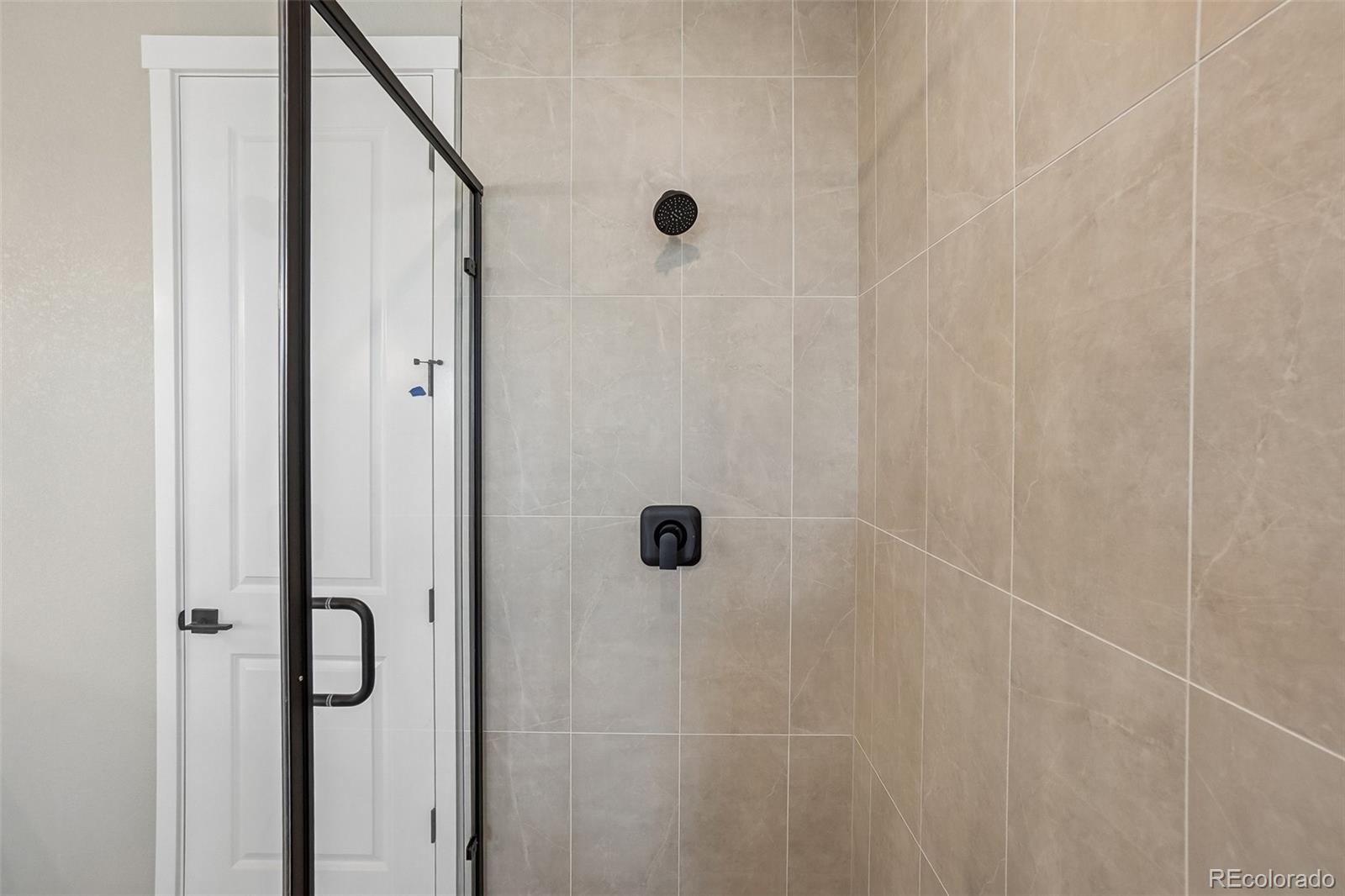 MLS Image #38 for 641  white dove court,monument, Colorado