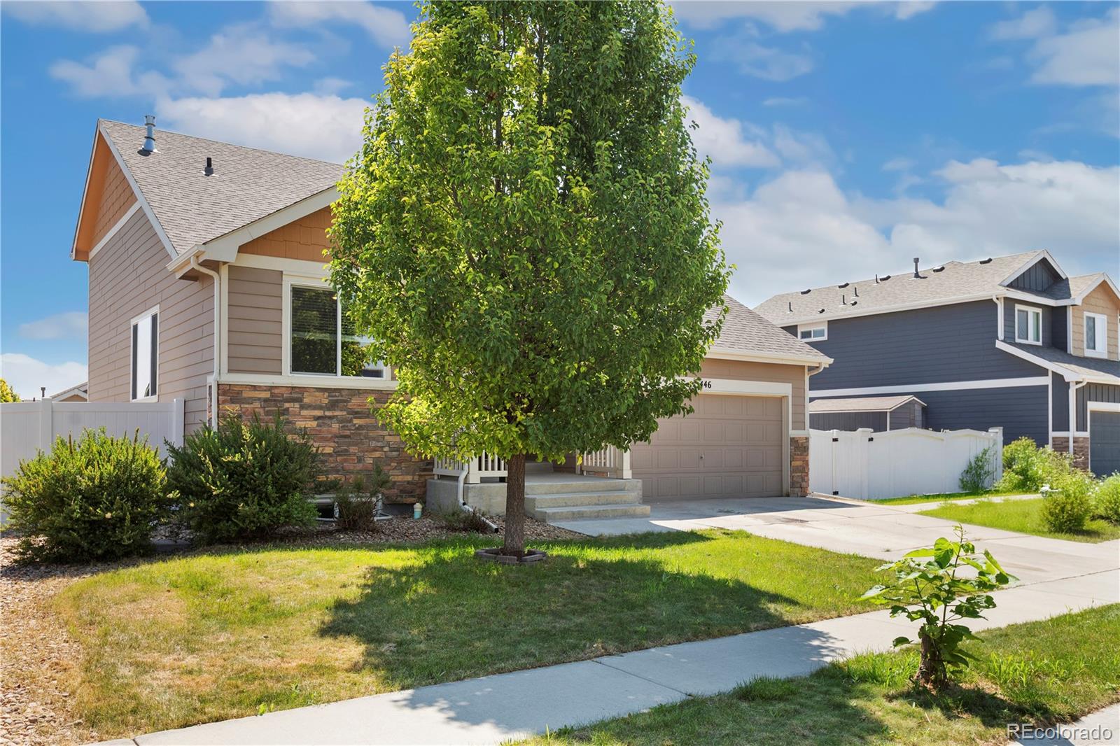 MLS Image #2 for 446  ptarmigan street,severance, Colorado