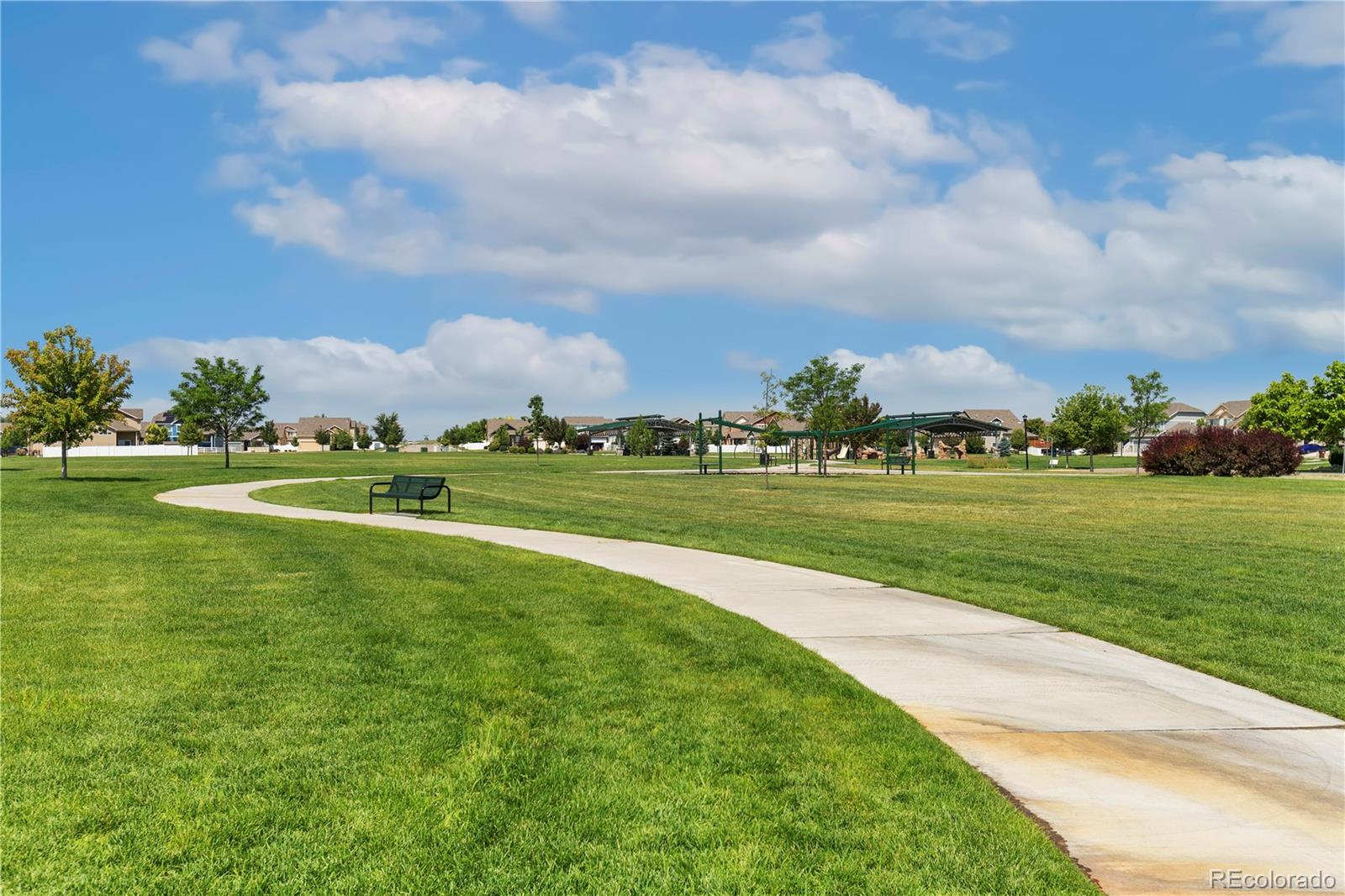 MLS Image #36 for 446  ptarmigan street,severance, Colorado