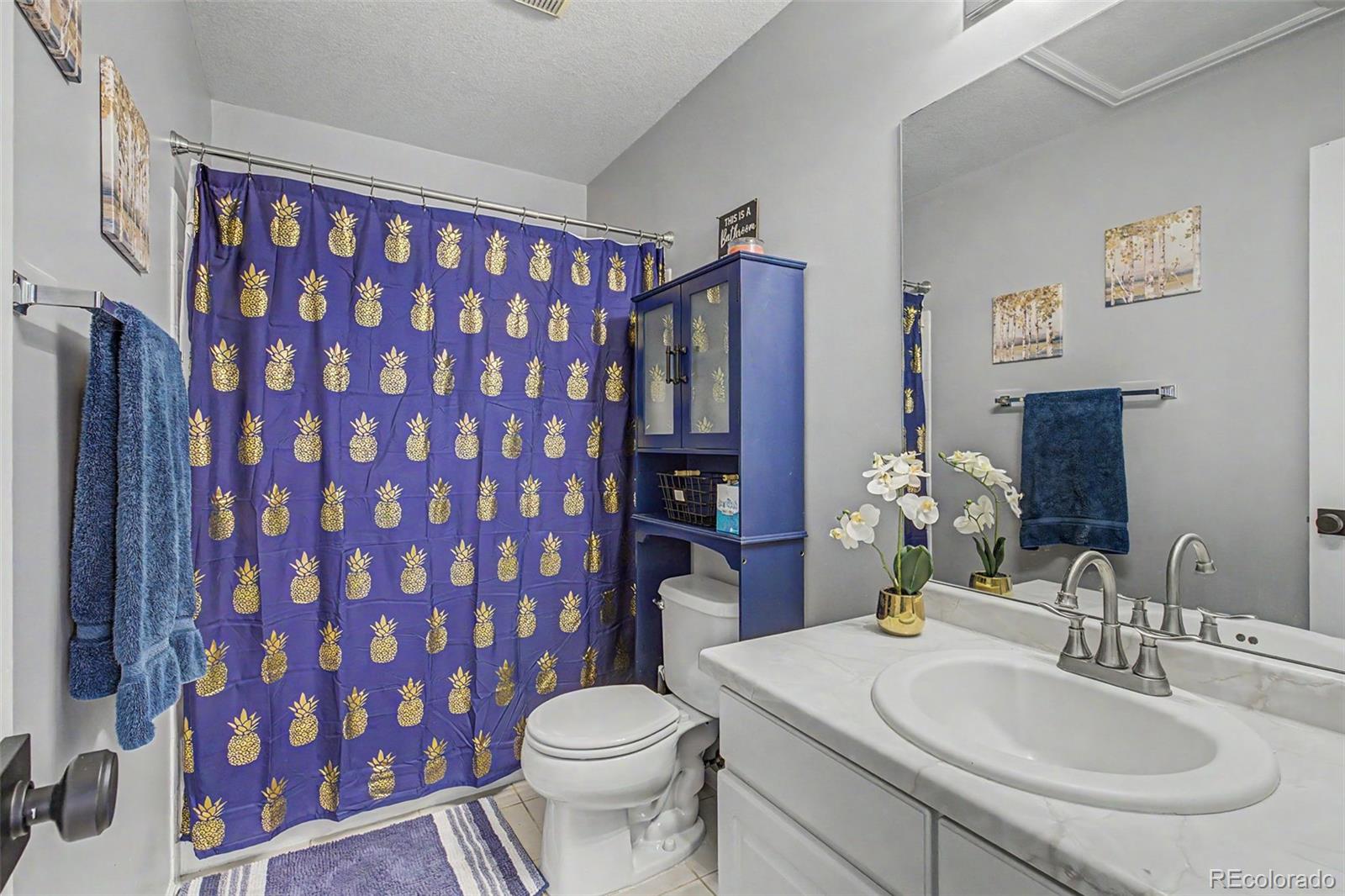 MLS Image #25 for 15137 e nassau avenue,aurora, Colorado