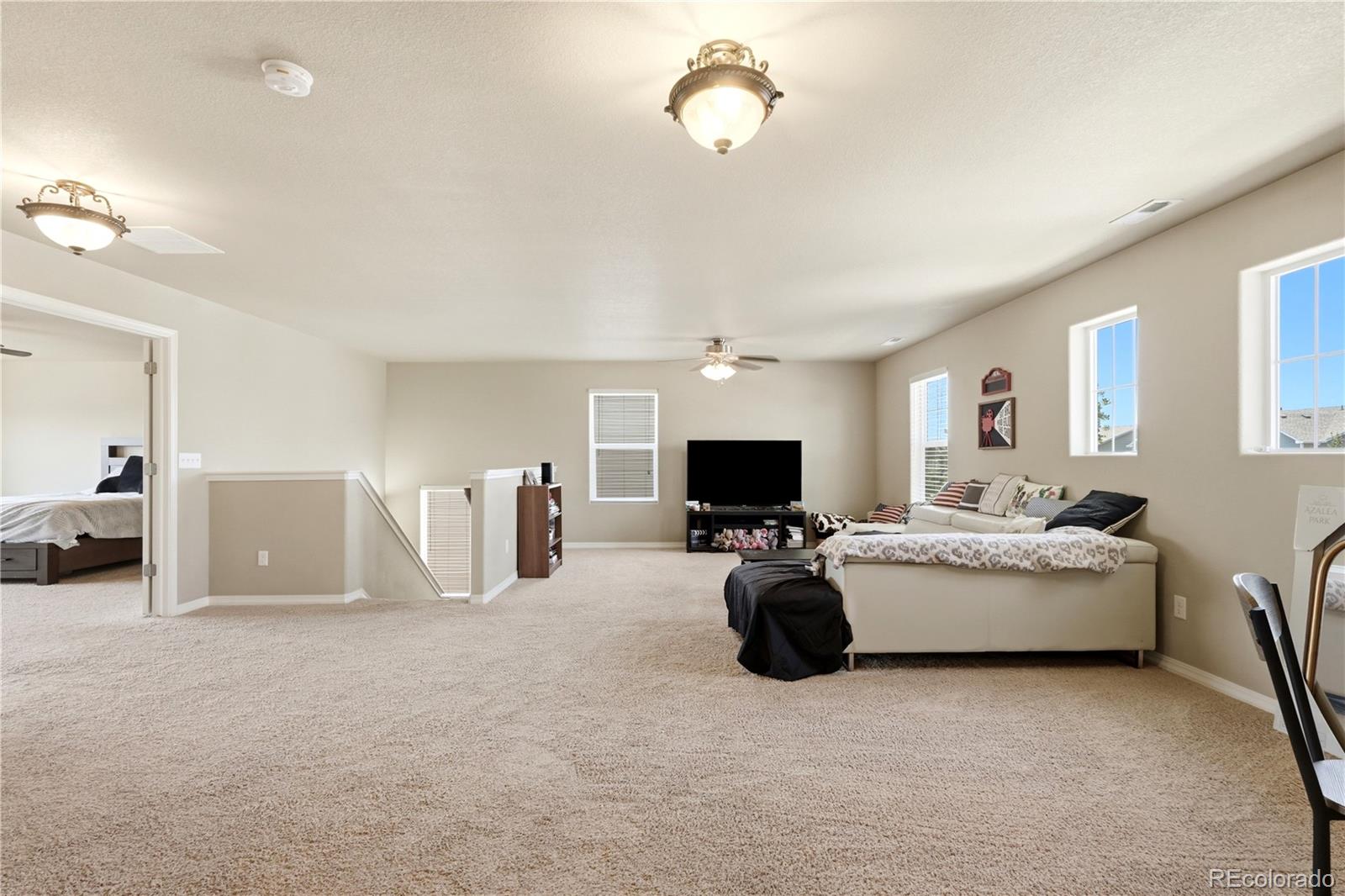 MLS Image #18 for 9585  ghost flower lane,colorado springs, Colorado