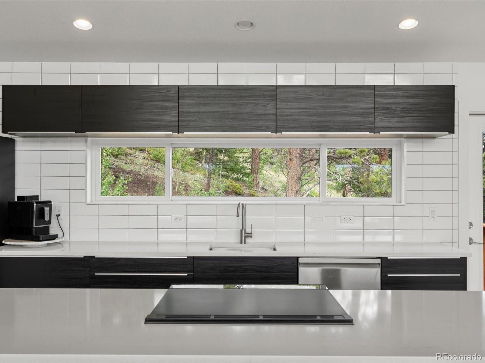 MLS Image #15 for 682  alps hill road,central city, Colorado