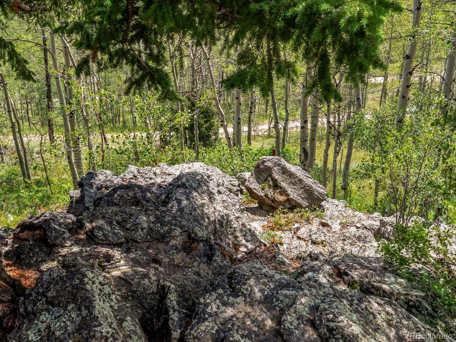 MLS Image #37 for 682  alps hill road,central city, Colorado