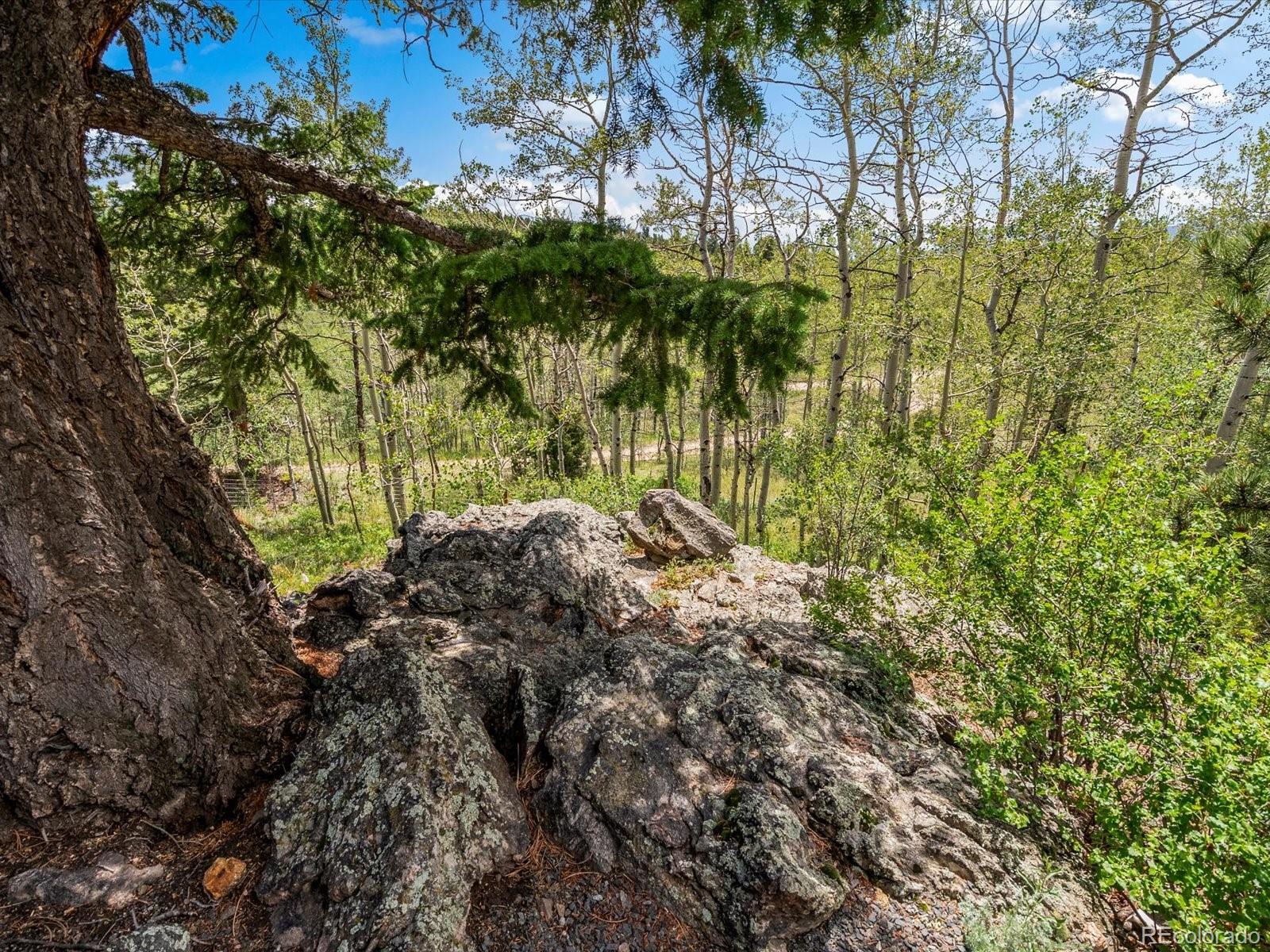 MLS Image #45 for 682  alps hill road,central city, Colorado