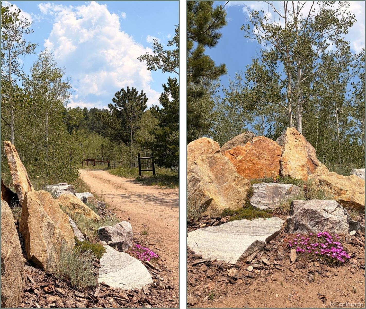 MLS Image #46 for 682  alps hill road,central city, Colorado