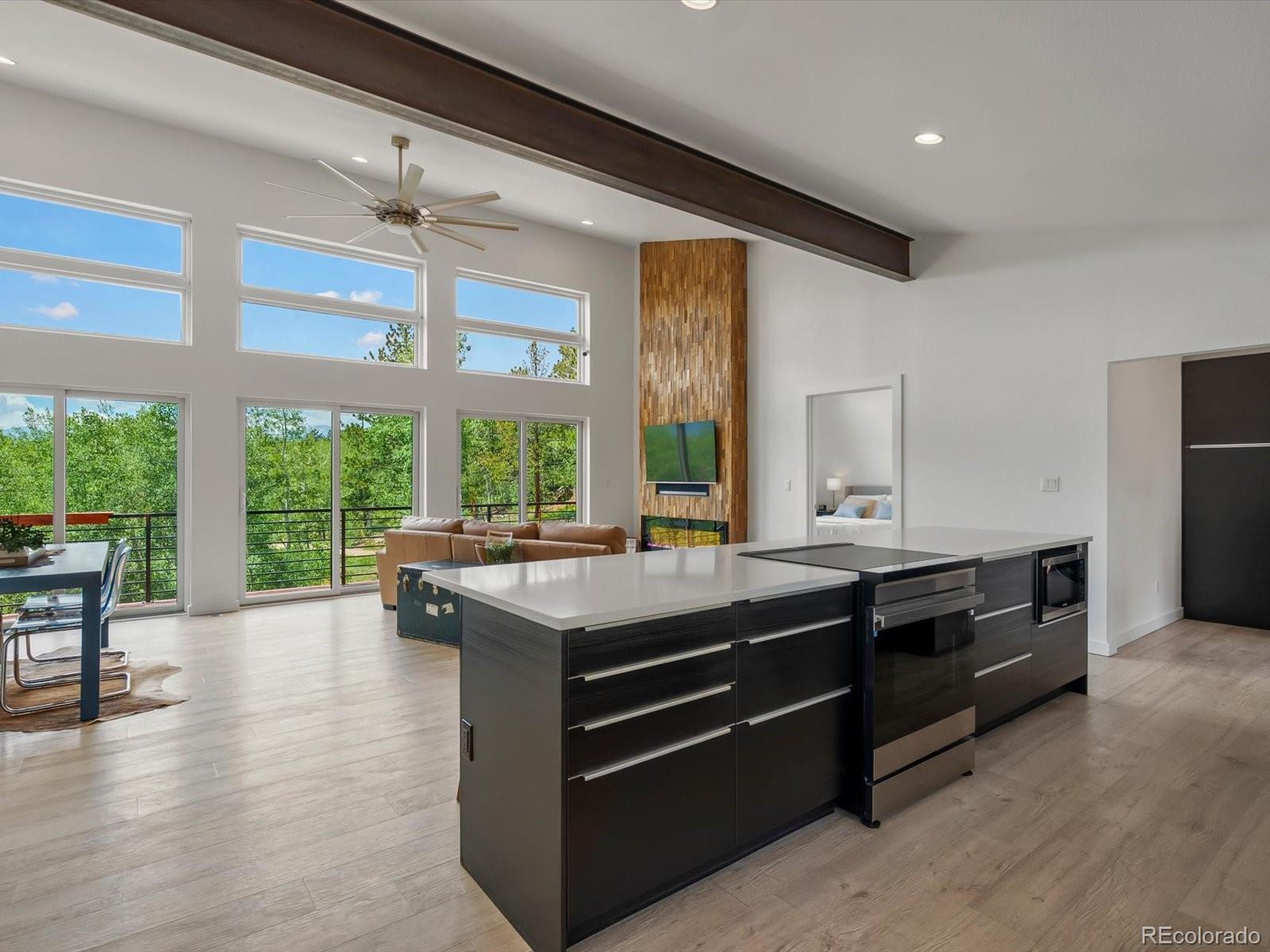 MLS Image #6 for 682  alps hill road,central city, Colorado