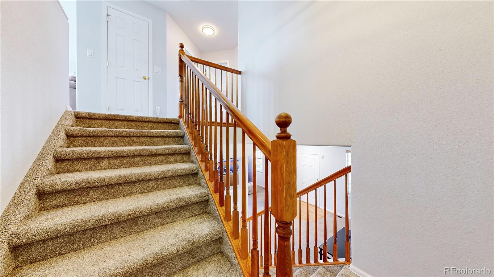 MLS Image #18 for 5312  nelson street,arvada, Colorado