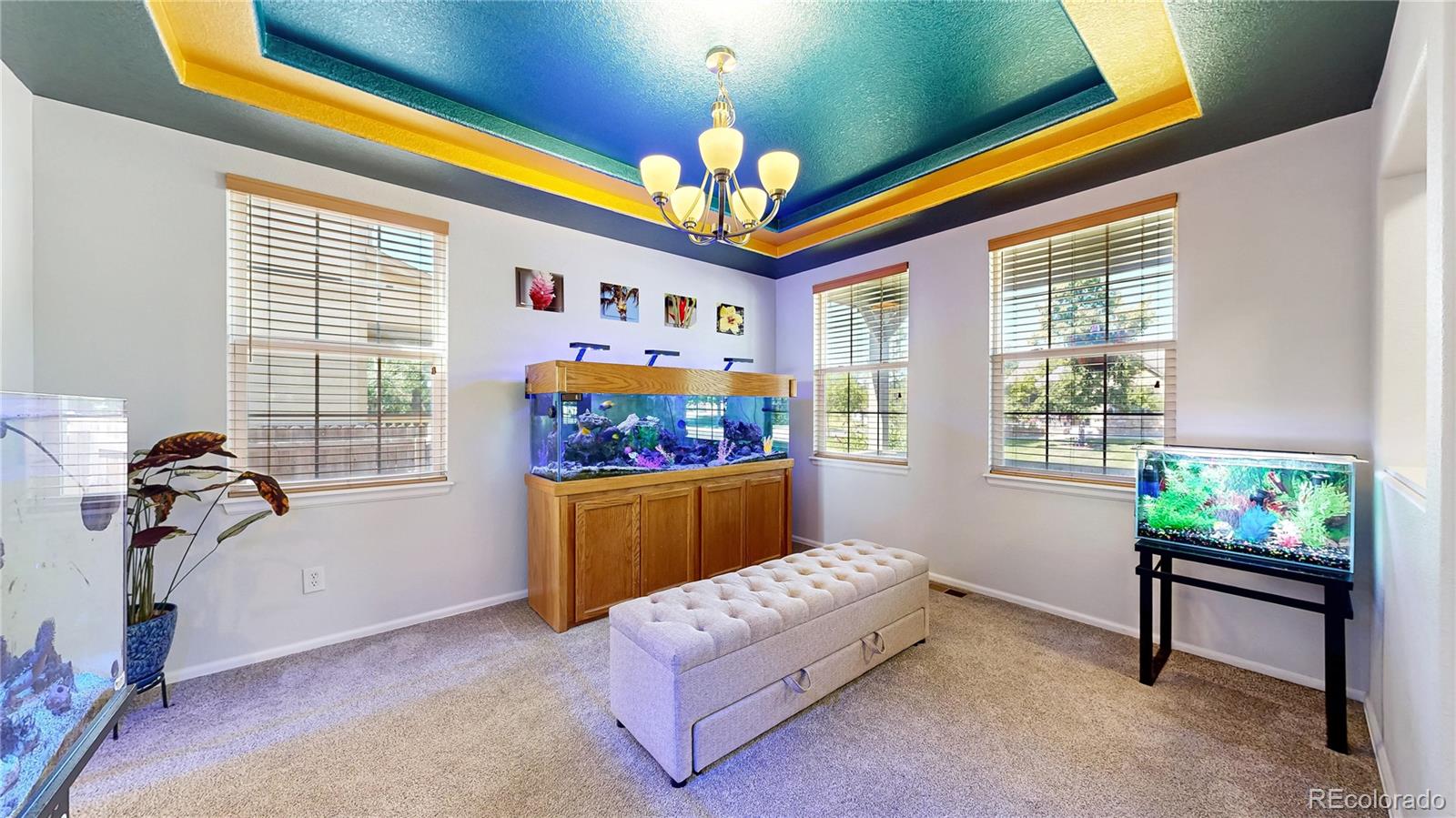 MLS Image #3 for 5312  nelson street,arvada, Colorado