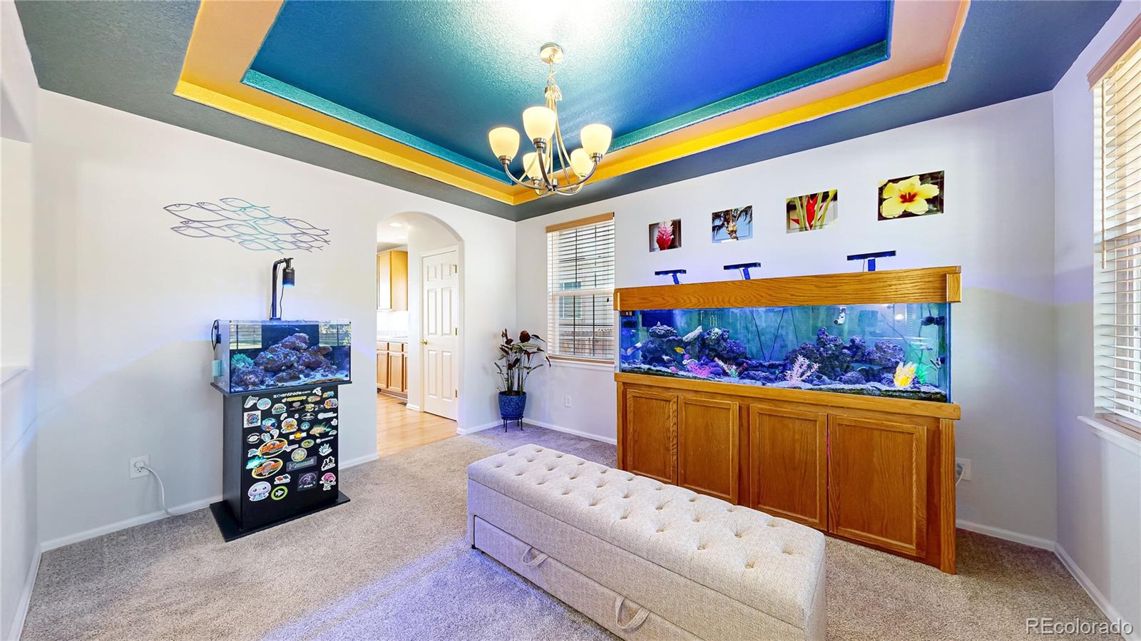 MLS Image #5 for 5312  nelson street,arvada, Colorado