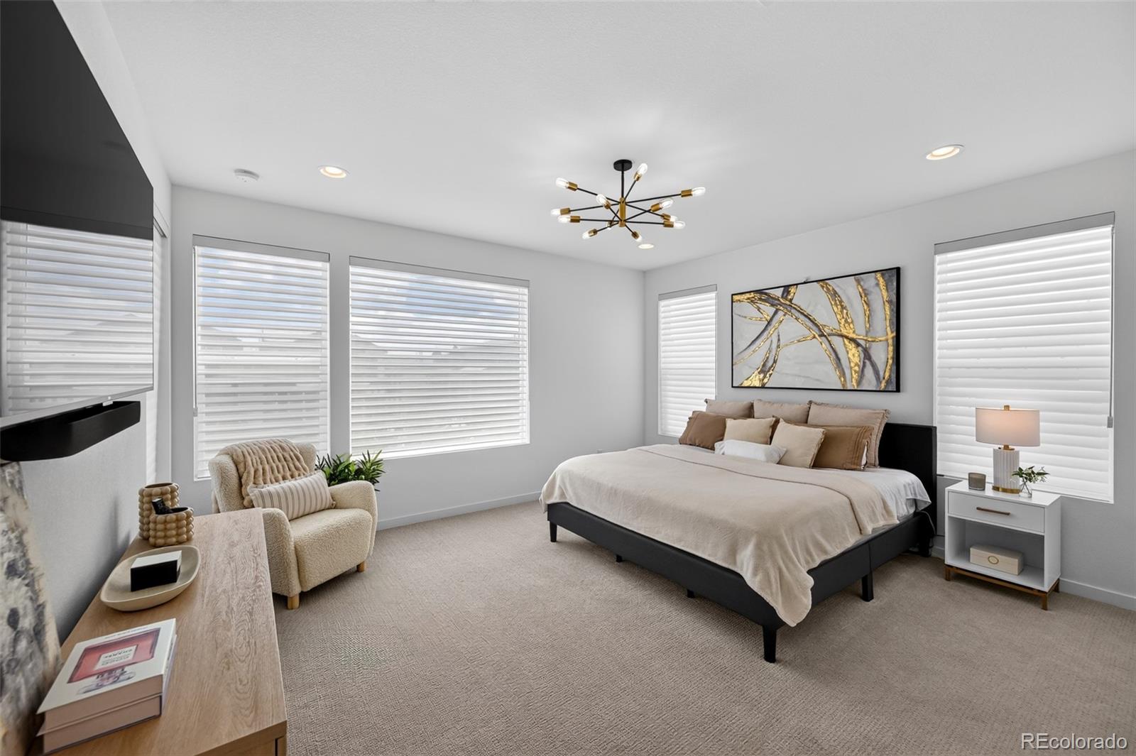 MLS Image #14 for 15085  gladshine drive,parker, Colorado