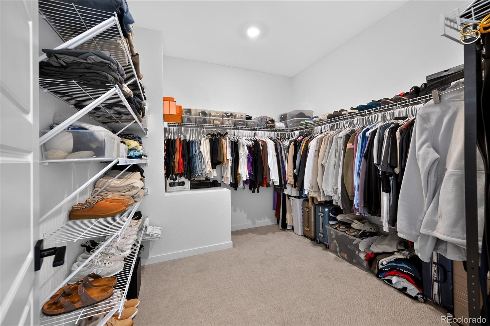 MLS Image #19 for 15085  gladshine drive,parker, Colorado