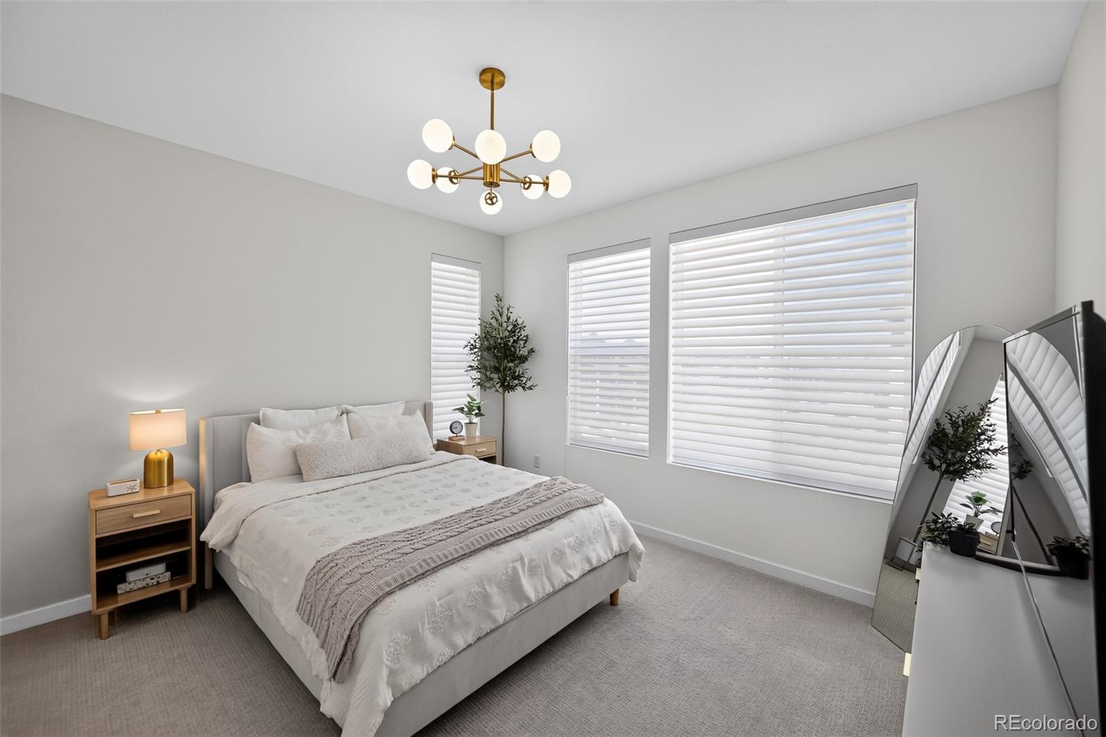 MLS Image #21 for 15085  gladshine drive,parker, Colorado