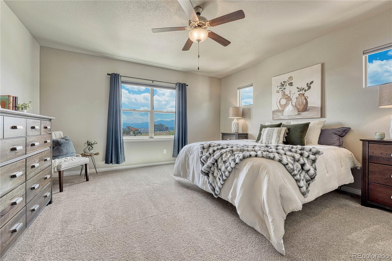MLS Image #19 for 1123  giacomo court,colorado springs, Colorado