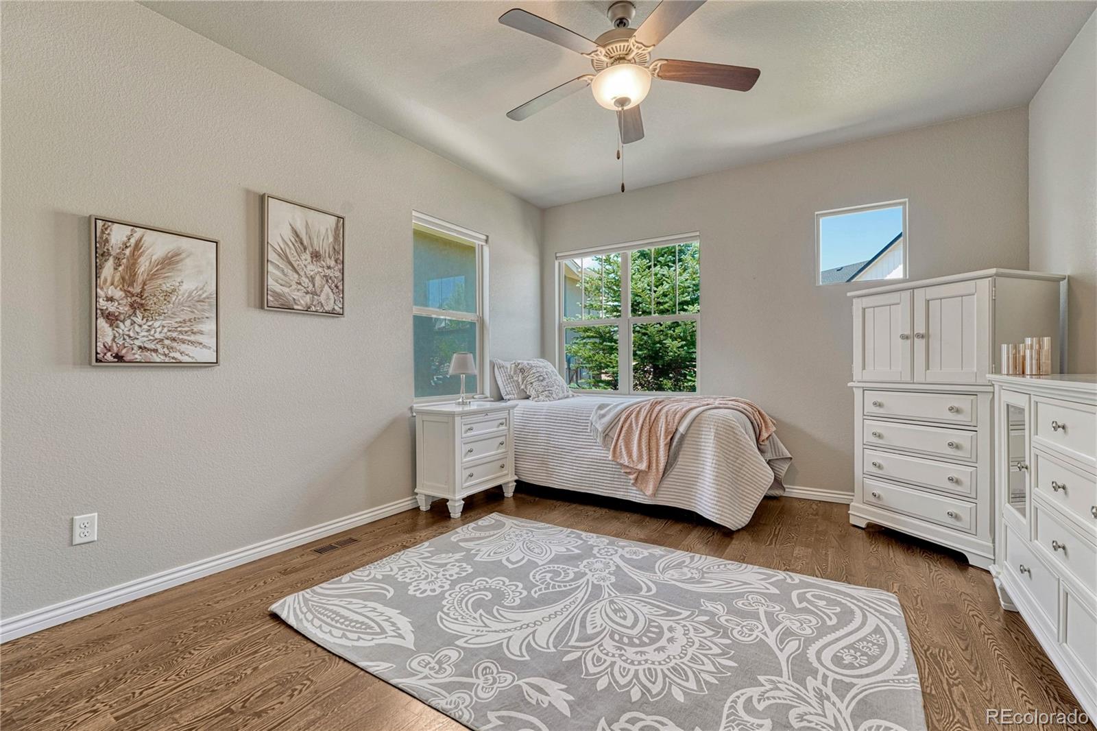 MLS Image #3 for 1123  giacomo court,colorado springs, Colorado