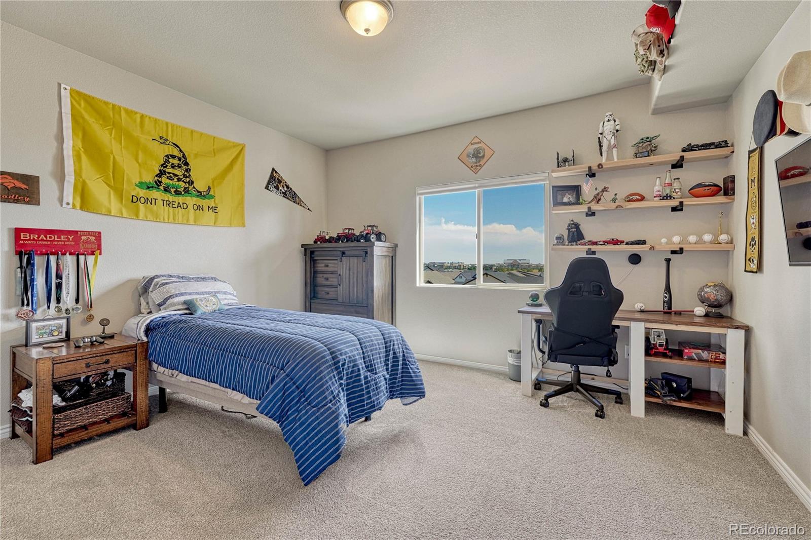 MLS Image #37 for 1123  giacomo court,colorado springs, Colorado