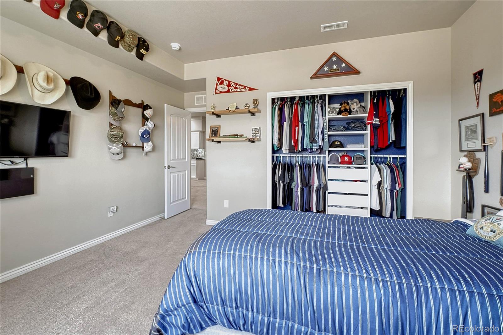 MLS Image #38 for 1123  giacomo court,colorado springs, Colorado