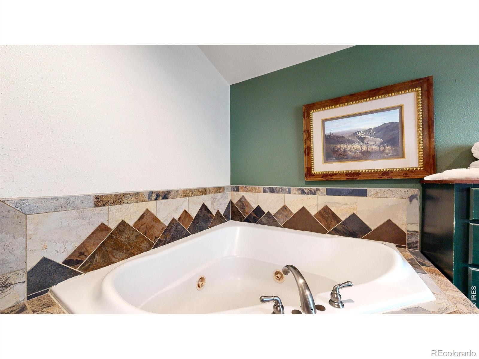 MLS Image #7 for 2760  fall river road,estes park, Colorado