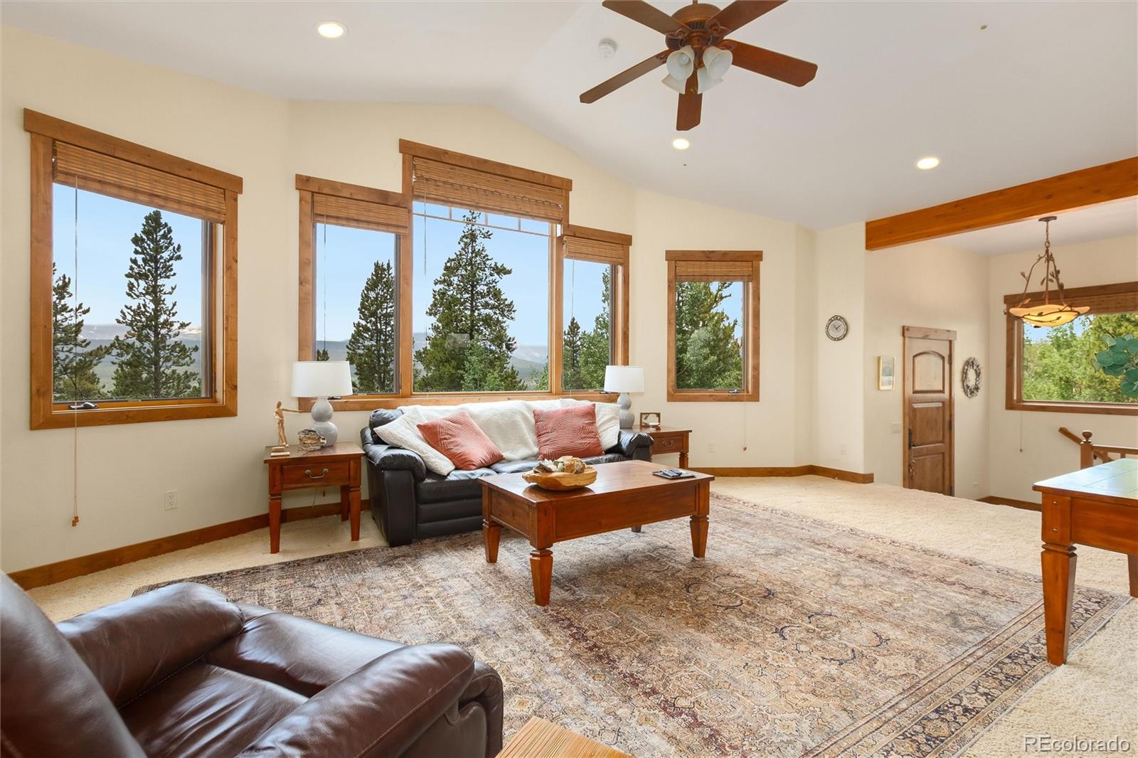 MLS Image #10 for 592  ponderosa road,alma, Colorado