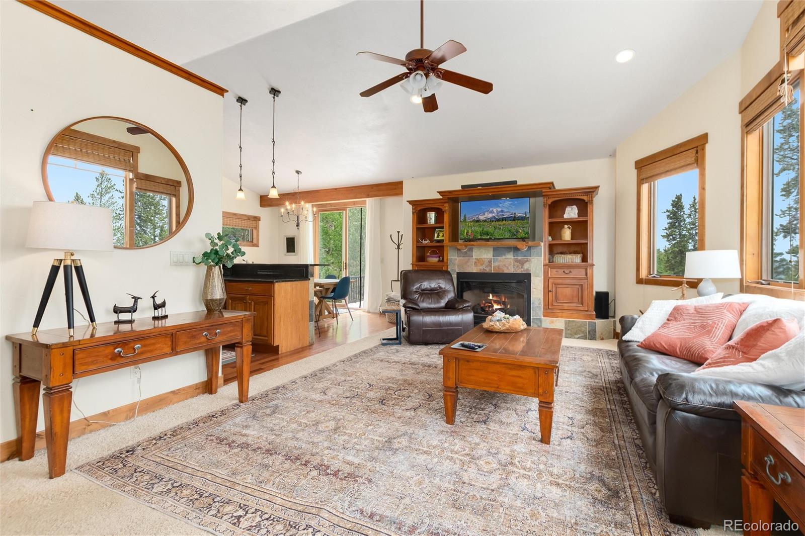 MLS Image #11 for 592  ponderosa road,alma, Colorado