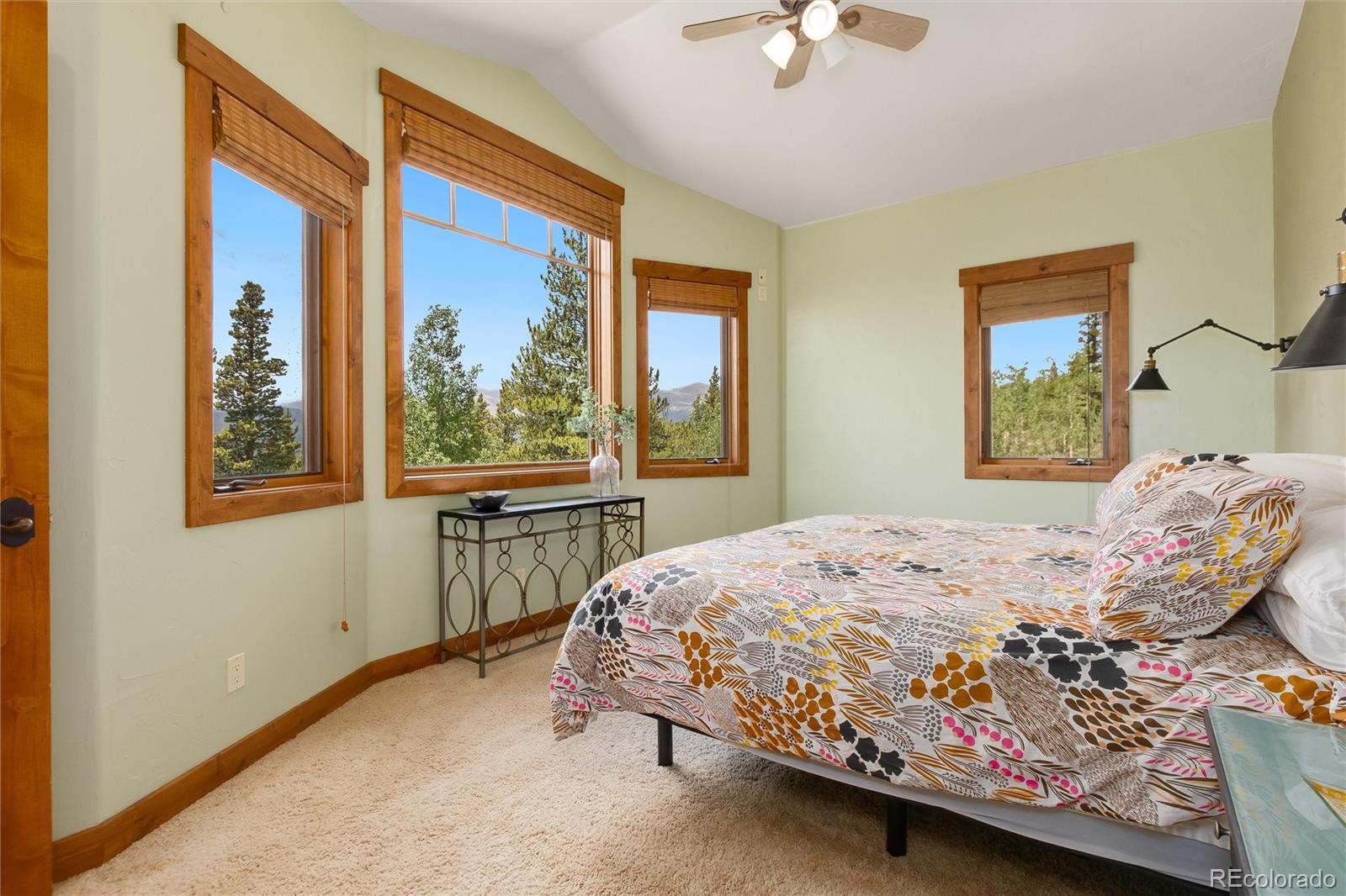 MLS Image #21 for 592  ponderosa road,alma, Colorado