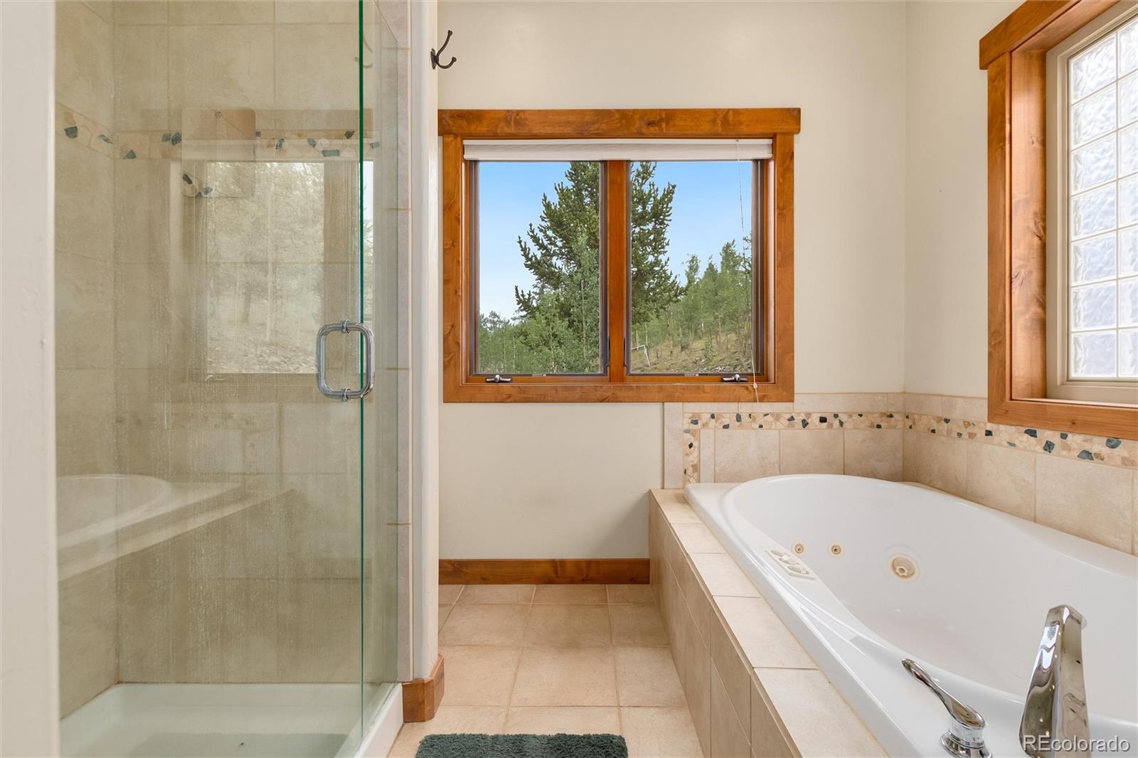MLS Image #25 for 592  ponderosa road,alma, Colorado