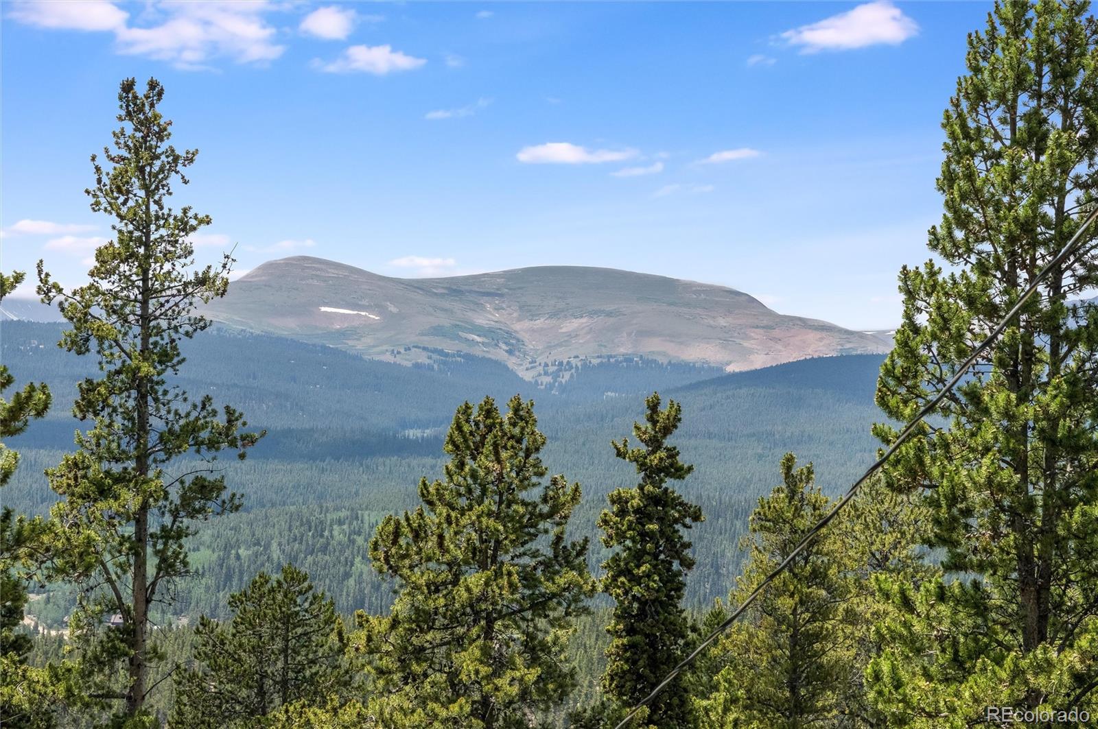 MLS Image #5 for 592  ponderosa road,alma, Colorado