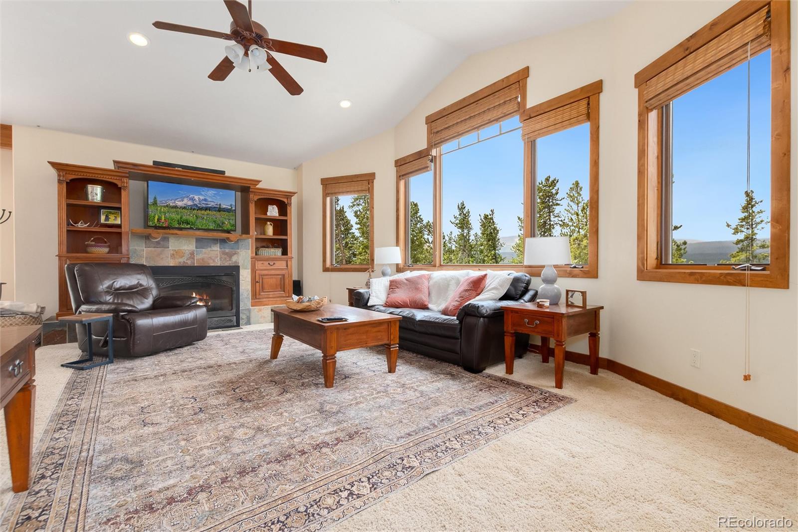 MLS Image #8 for 592  ponderosa road,alma, Colorado