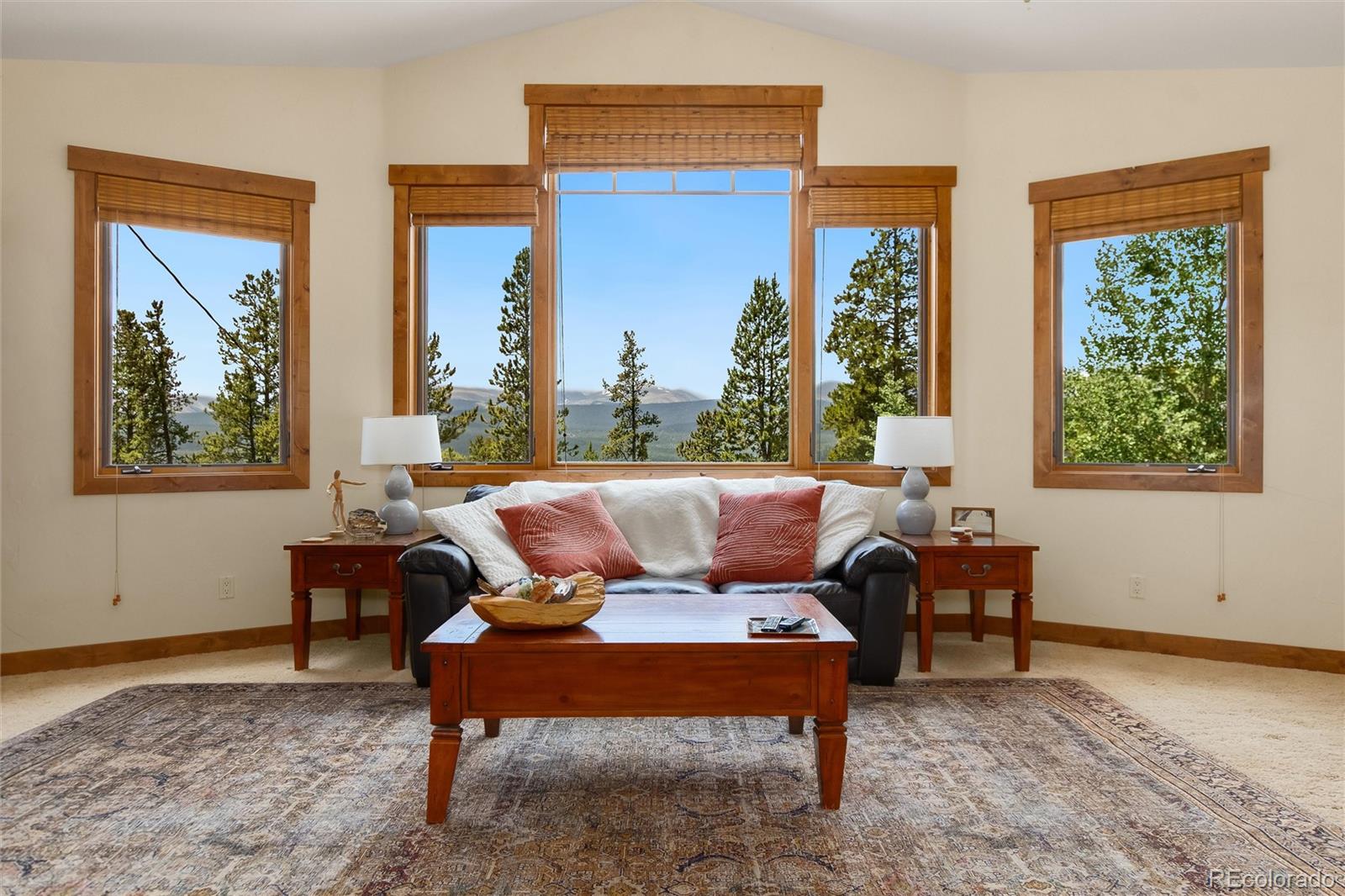 MLS Image #9 for 592  ponderosa road,alma, Colorado
