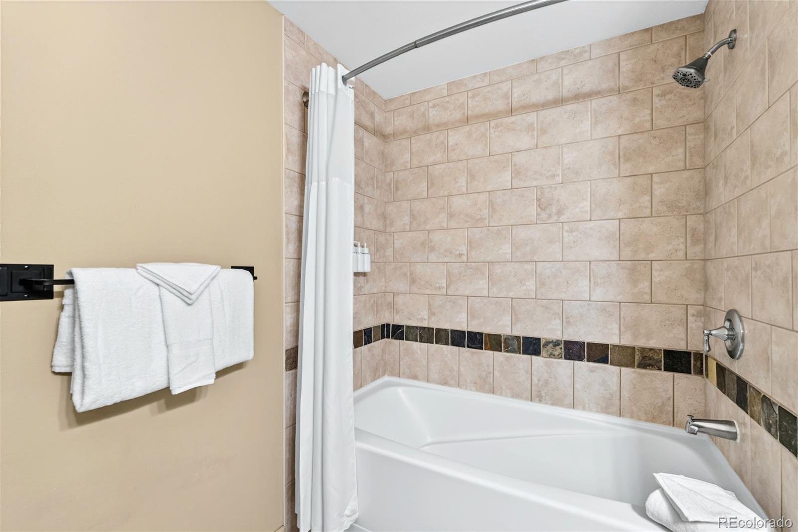 MLS Image #11 for 910  copper road,frisco, Colorado