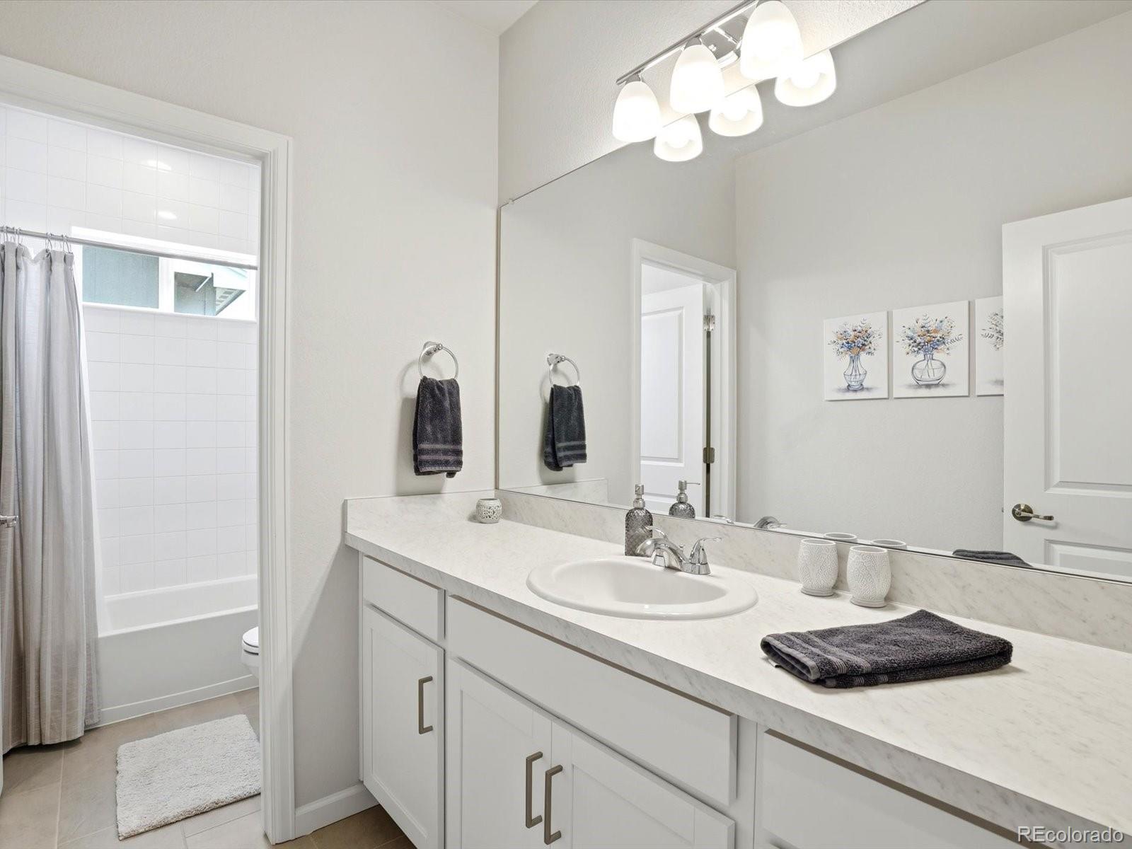 MLS Image #20 for 10678  truckee street,commerce city, Colorado