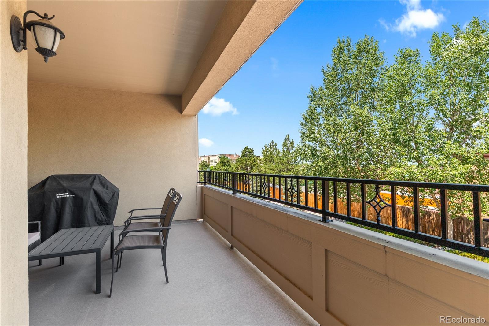 MLS Image #10 for 9456  rockhurst street,littleton, Colorado