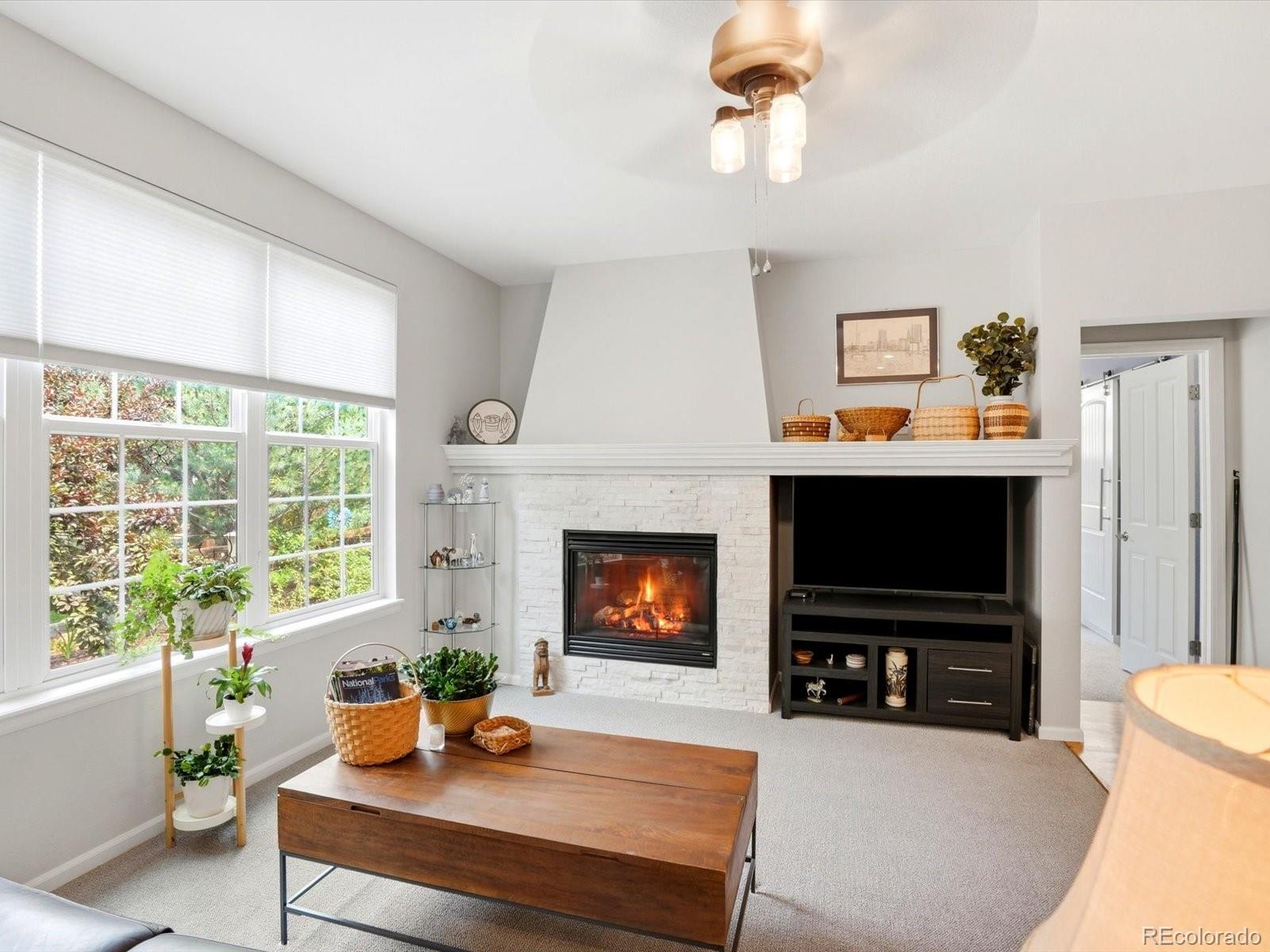 MLS Image #23 for 227  castro place,erie, Colorado