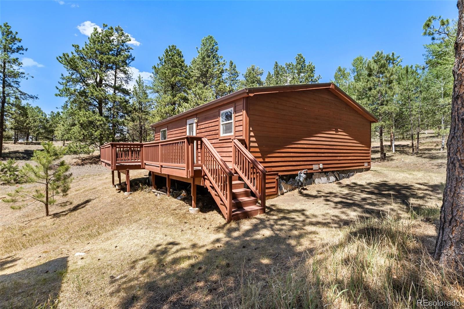 MLS Image #13 for 331  rhyolite lane,florissant, Colorado